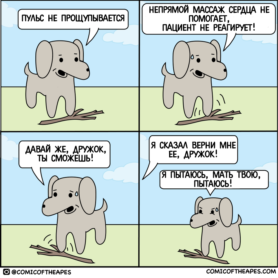 No pulse - Comics, Translation, Comicoftheapes, Dog