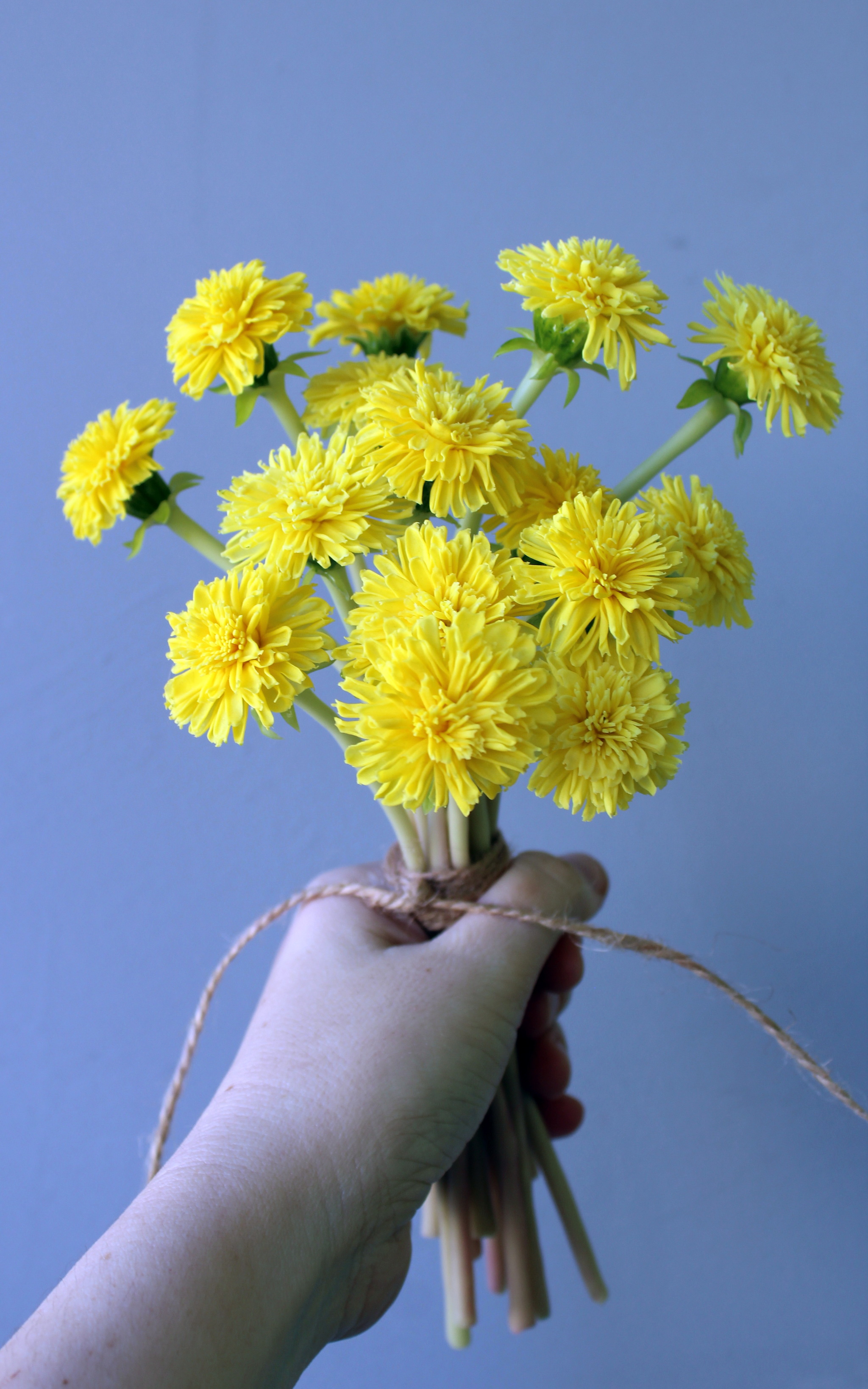 Now, of course, you won’t be surprised by them, but... - My, Polymer clay, Лепка, Dandelion, Longpost