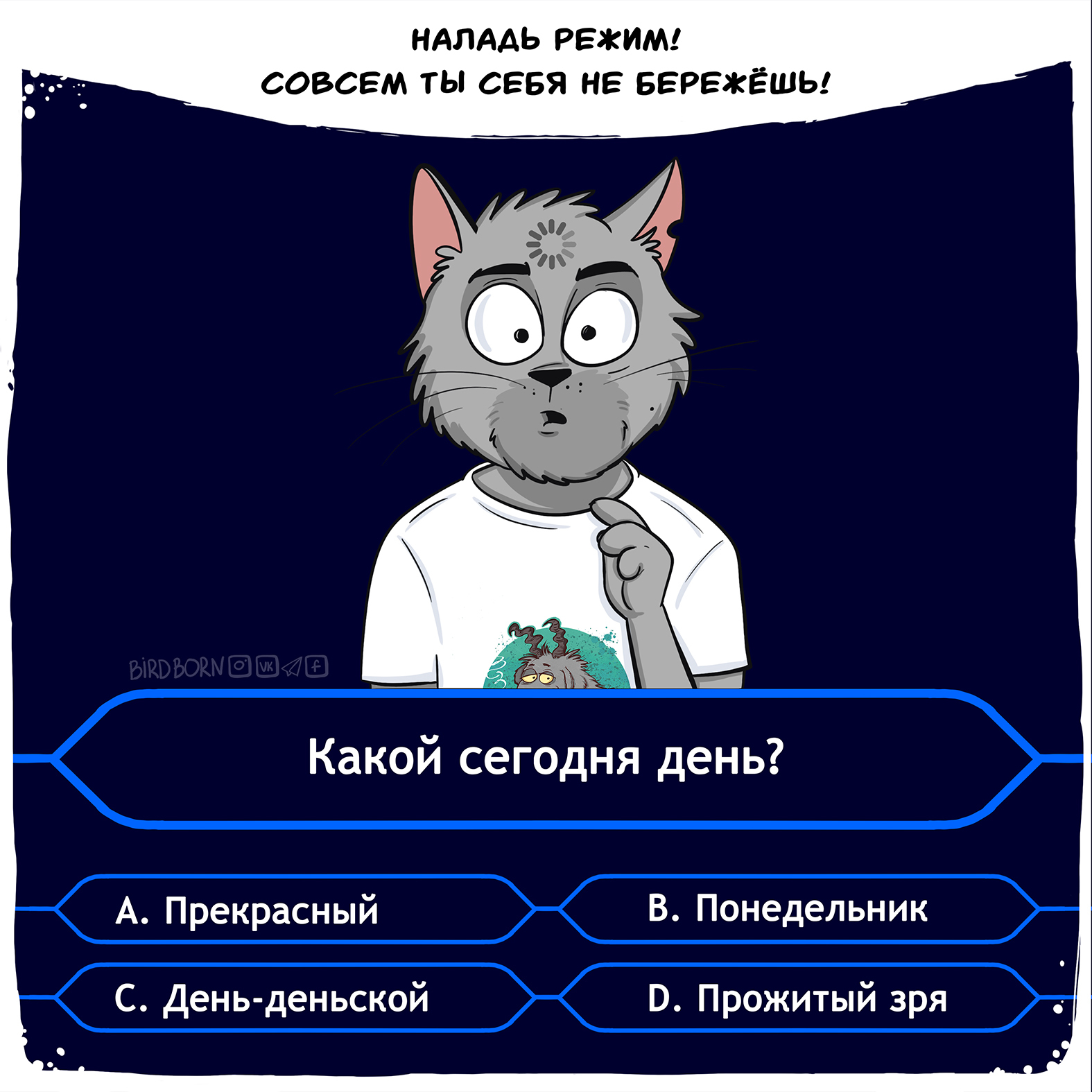 Комикс про то, как пережить карантин и остаться полезным - Моё, Bird Born, Комиксы, ЛучшеДома, Кот, Коронавирус, Длиннопост