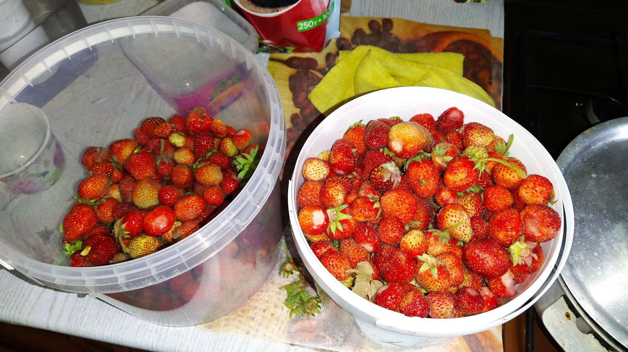 It's nice to be in the countryside in summer... - My, Photo on sneaker, Novorossiysk, Strawberry (plant), Lavender, Longpost