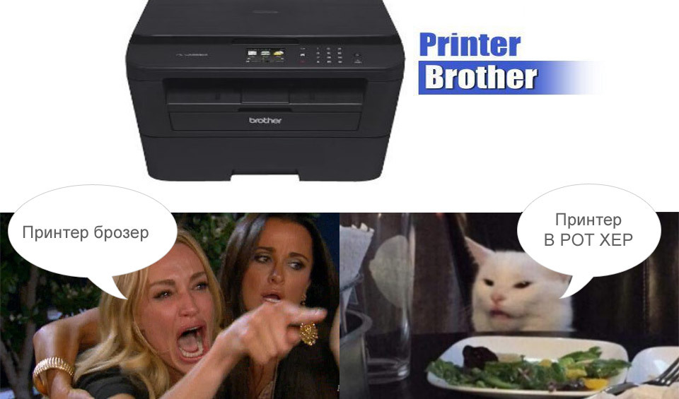 Brother - My, Two women yell at the cat, cat, Memes, Brother