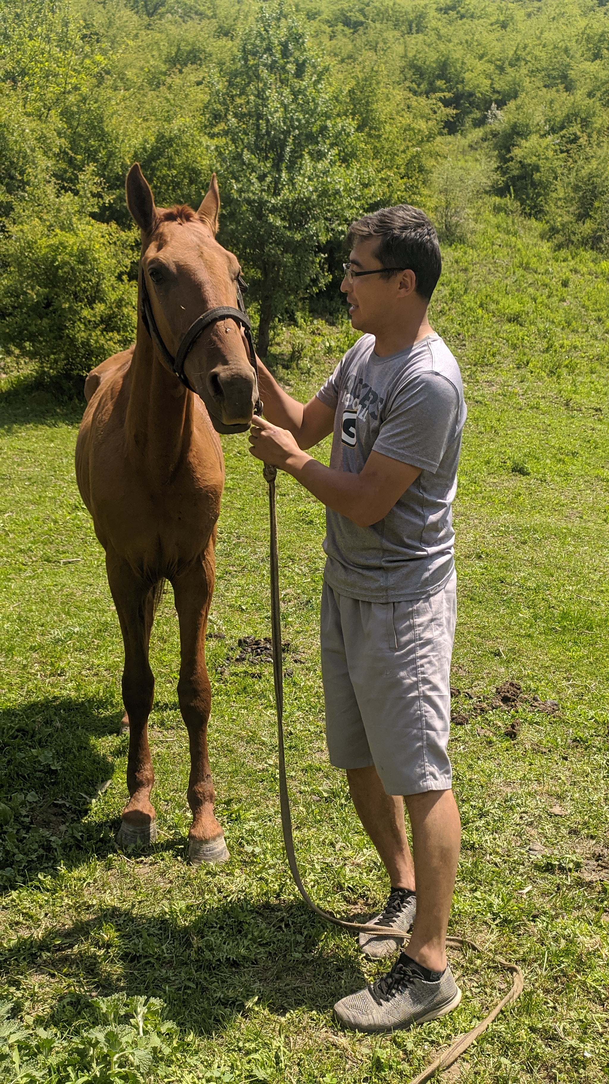 About horses - My, Horses, Milota, Foal, Nature, Longpost