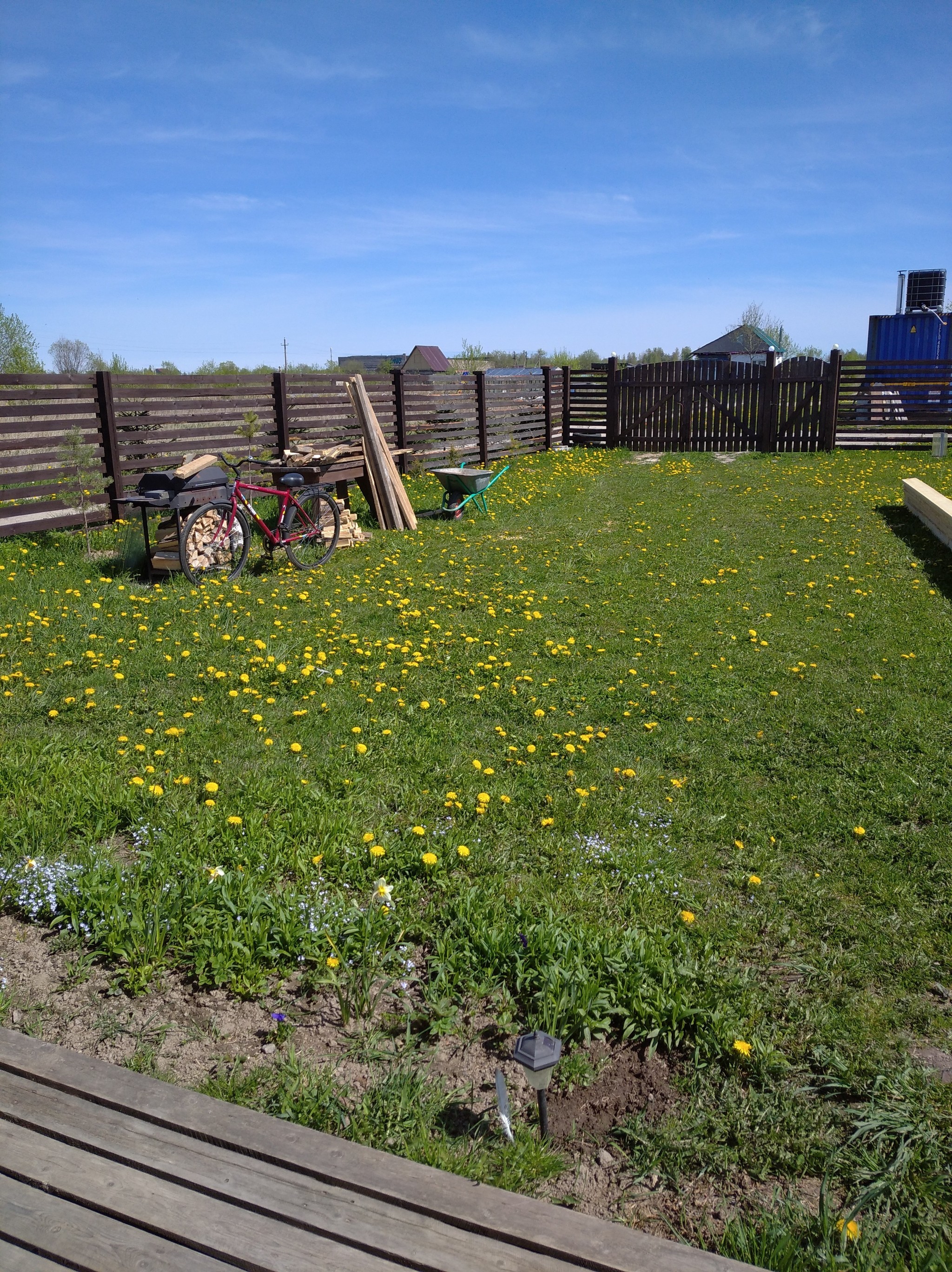 Country house - My, Dacha, beauty, Longpost, Dandelion