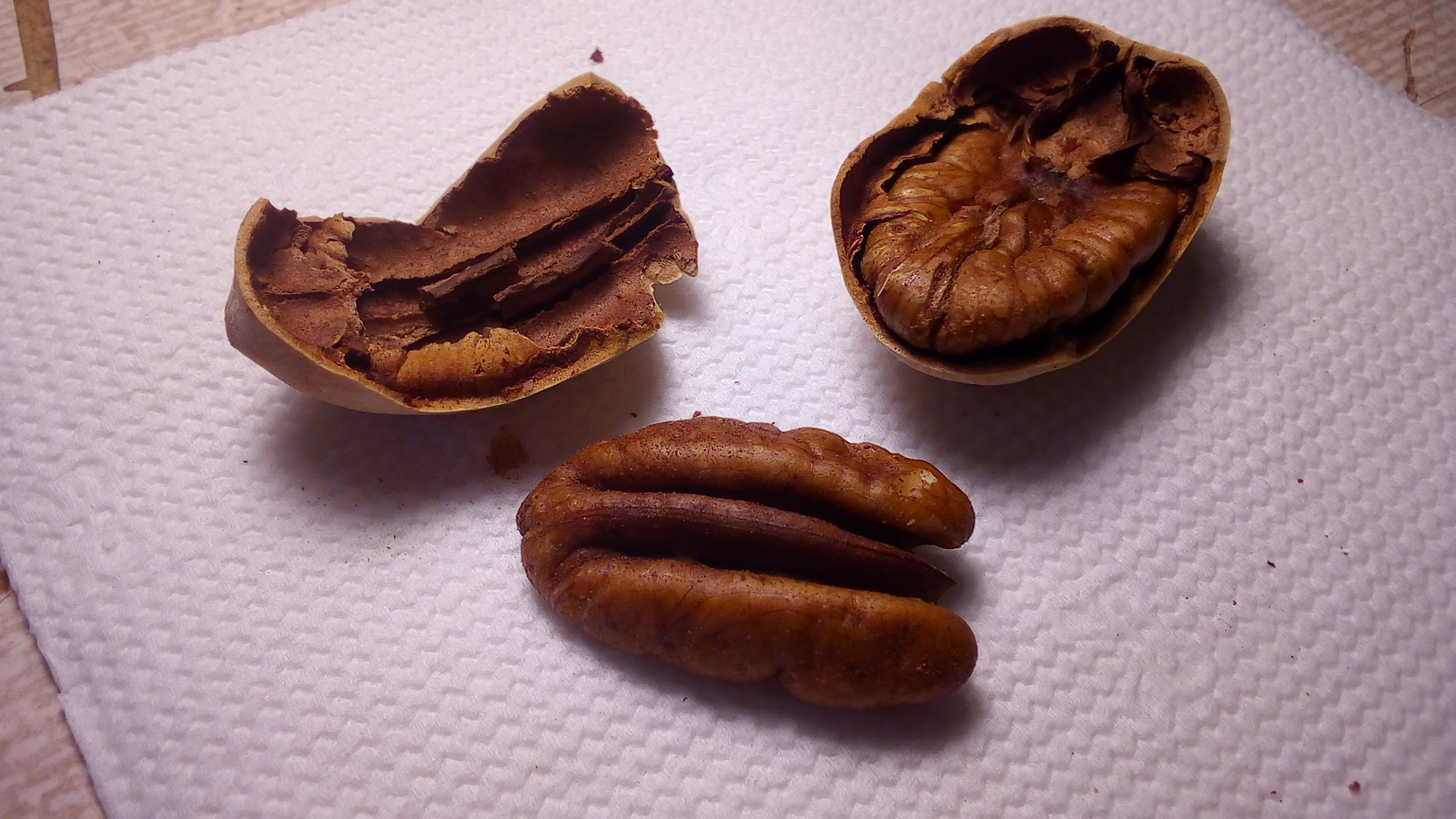 Tell me, what kind of nut is this? - My, Nuts, Question, Products, Longpost