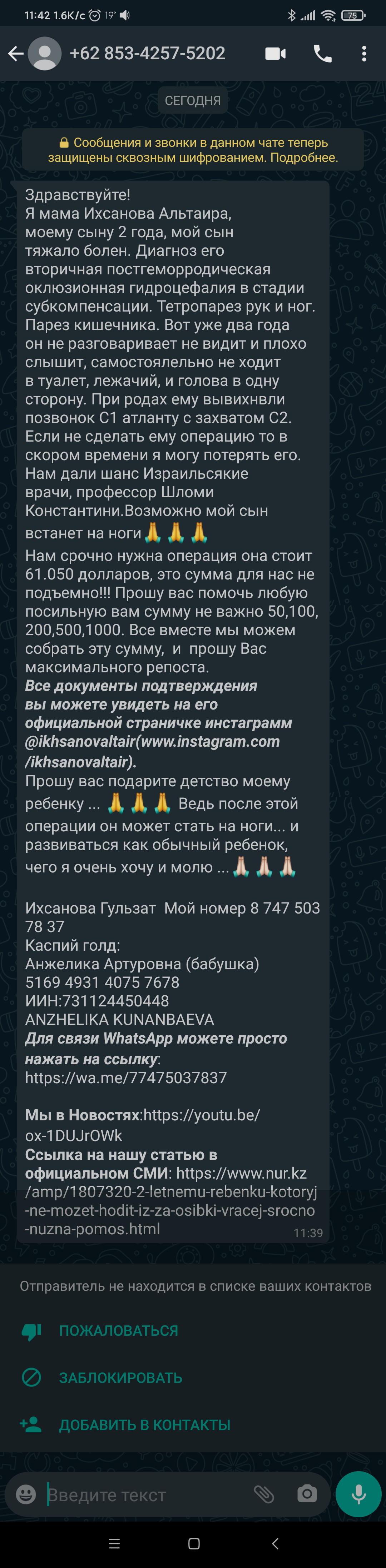 Whatsapp cheaters - My, Fraud, Internet Scammers, Divorce for money, Whatsapp, Kazakhstan, Longpost