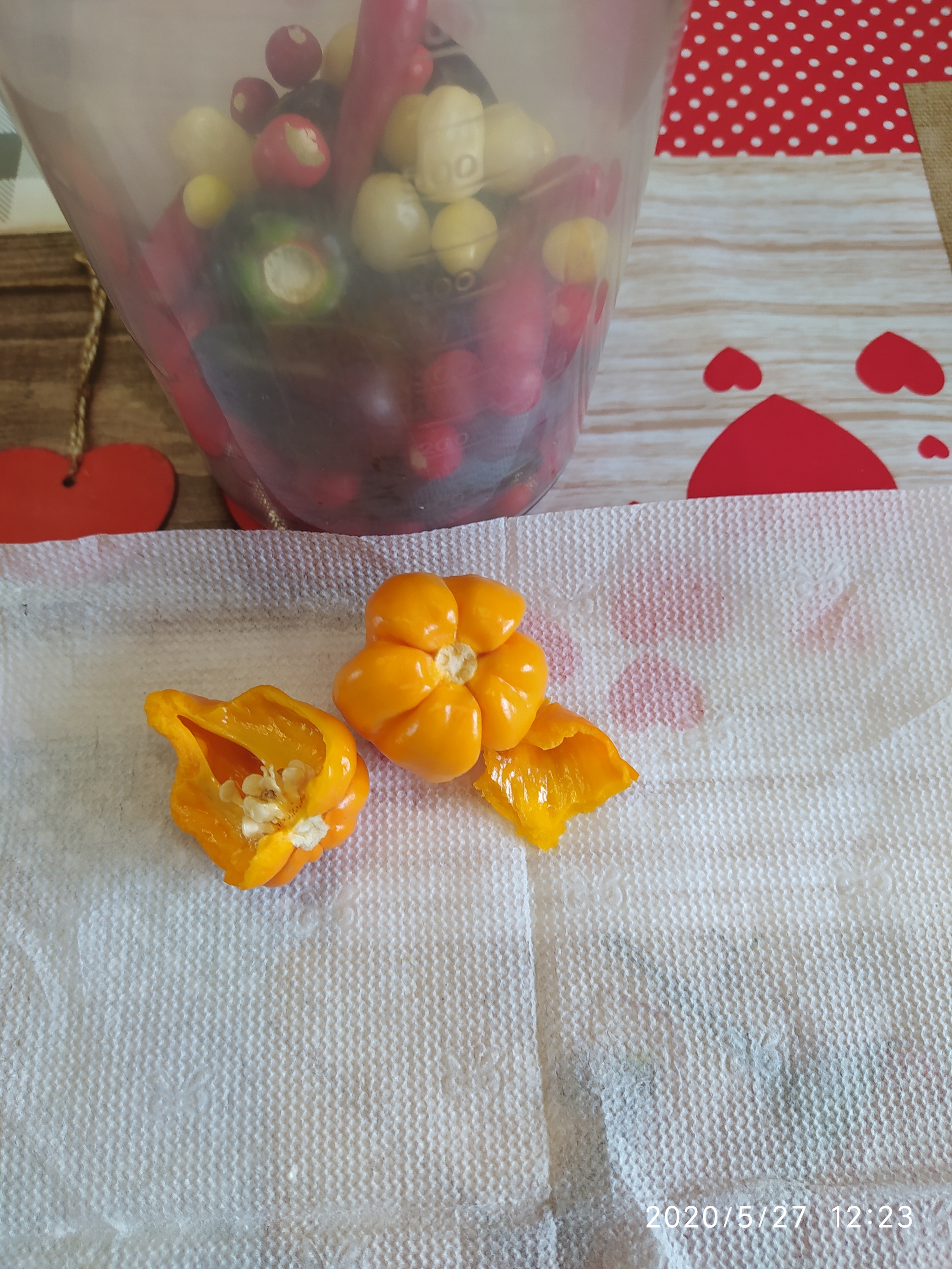 Sriracha assorted, harvesting, preparing for cooking (part 1) - My, Vegetable garden on the windowsill, Hot peppers, Hobby, Pepper farming, Cooking, Spicy sauce, Longpost