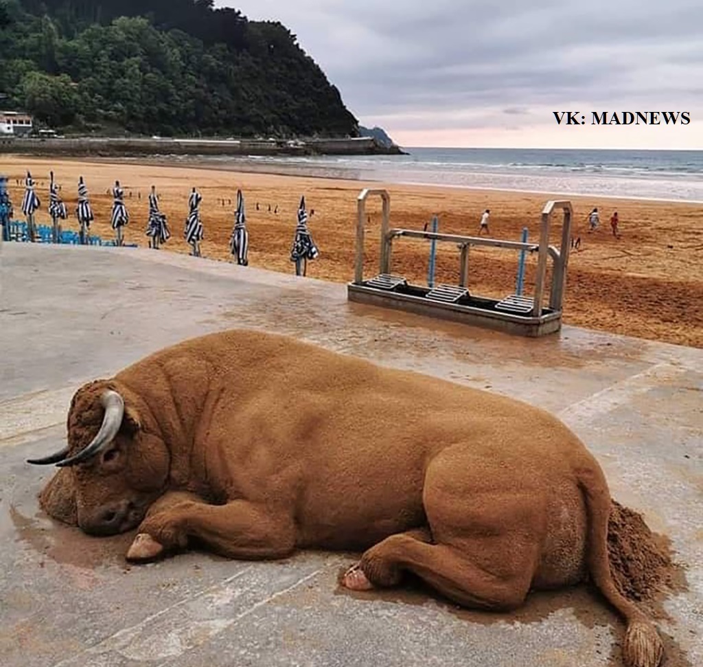 Beauty from sand - Bull, Sculpture, Art, Master, Sand