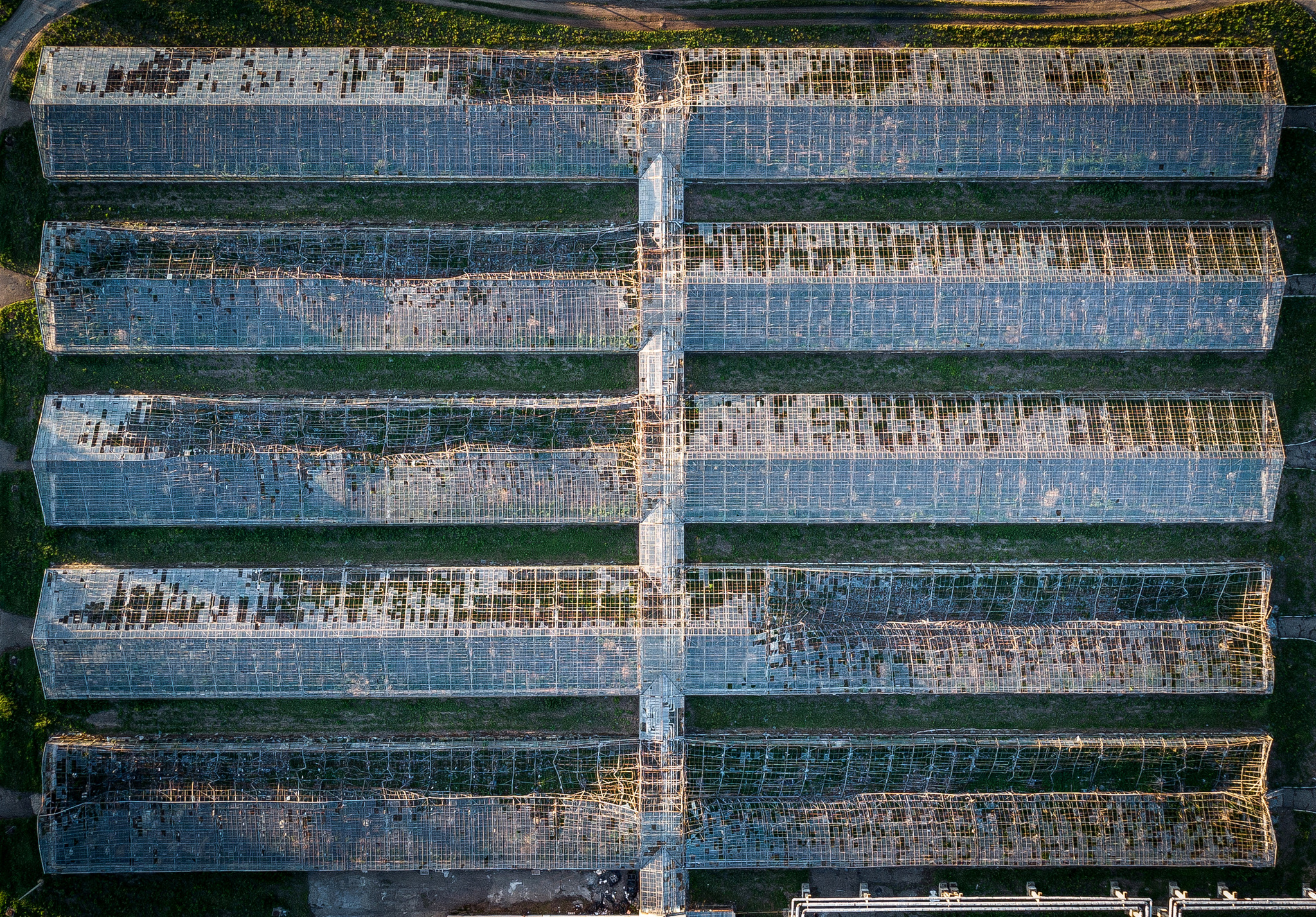 The largest greenhouse complex in the Altai Territory - My, The photo, Drone, Greenhouse, Devastation, Abandoned, Barnaul