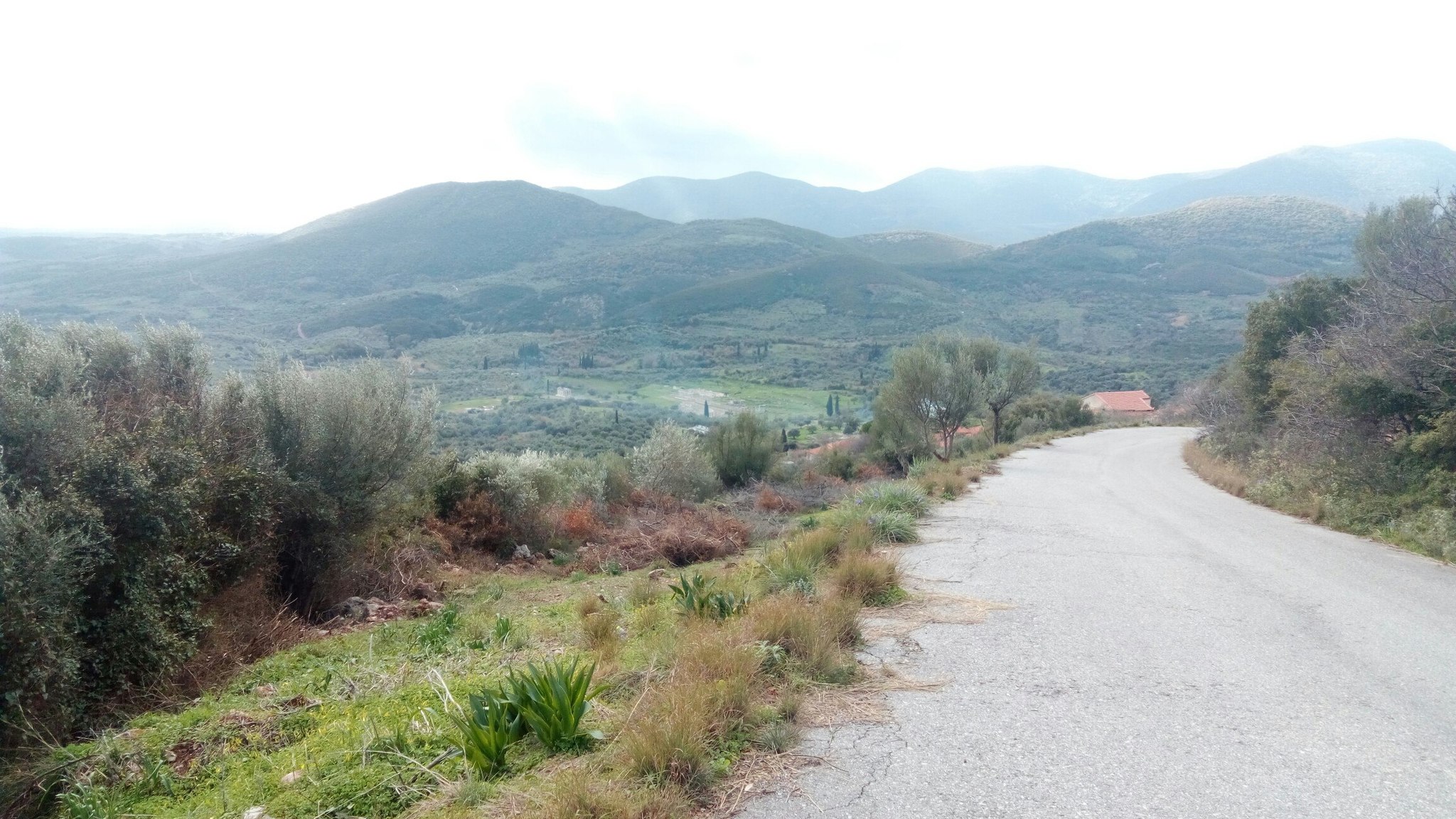 A wild journey through Greece. DAY FIFTEEN. Mountain road to Ancient Messina - My, Wild tourism, Greece, Messina, Tourism, Longpost, Text
