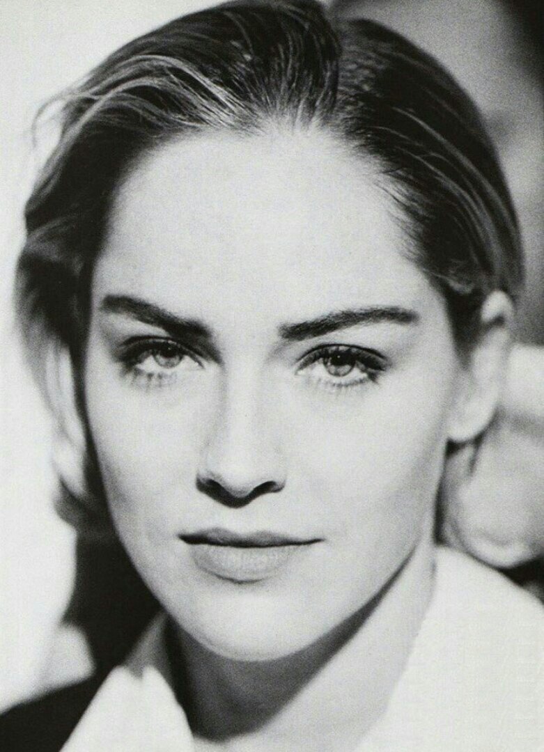 Rare photos of Sharon Stone - Sharon Stone, The photo, Longpost