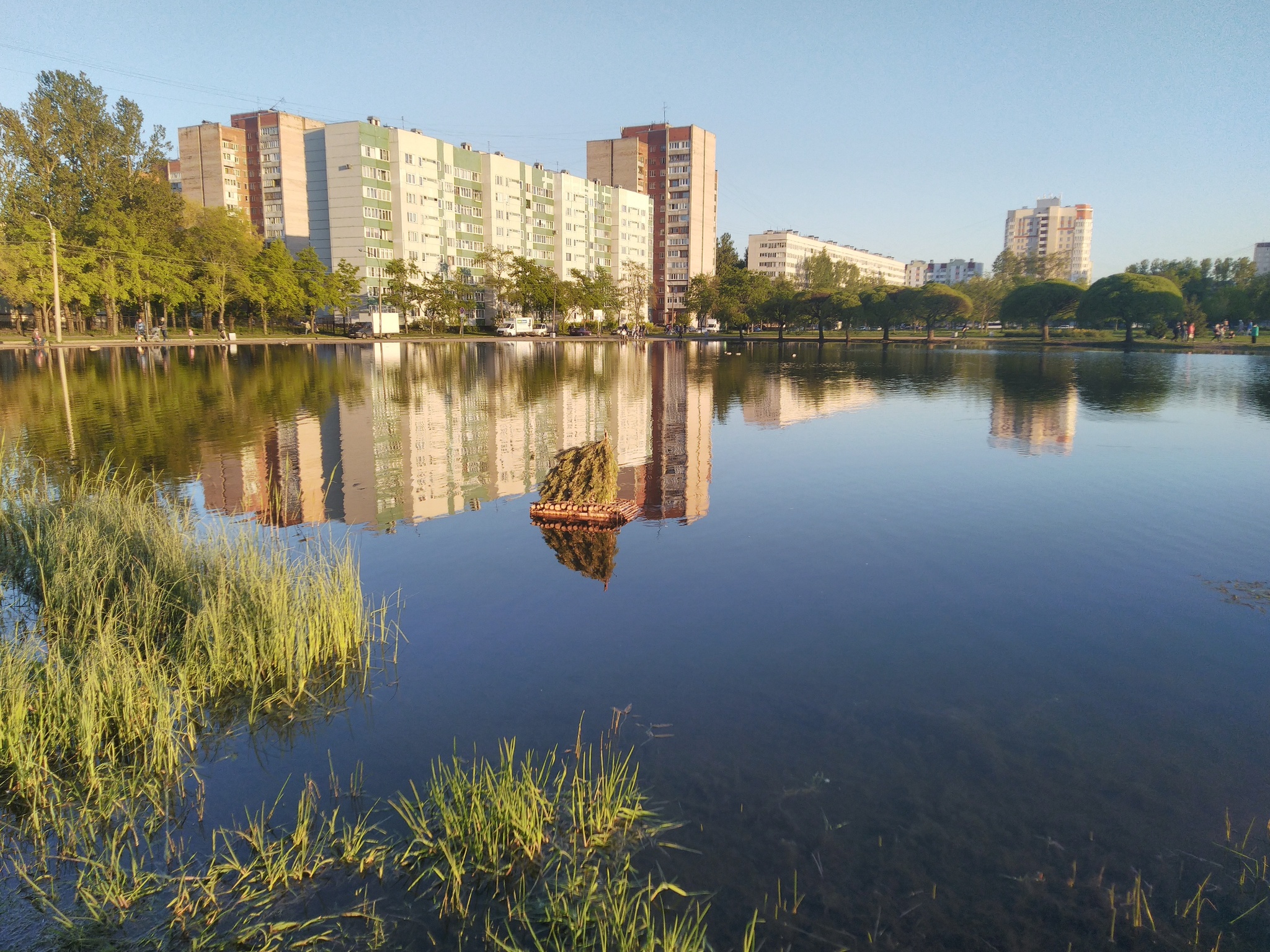 Duck in the house - My, Duck, House on the water, Birds, Pond, Photo on sneaker, Saint Petersburg, Longpost