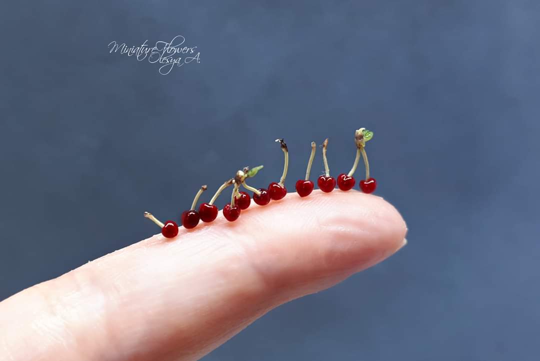 My cherry harvest. Miniature - My, Needlework without process, Miniature, Berries, Polymer clay, Cold porcelain, Longpost