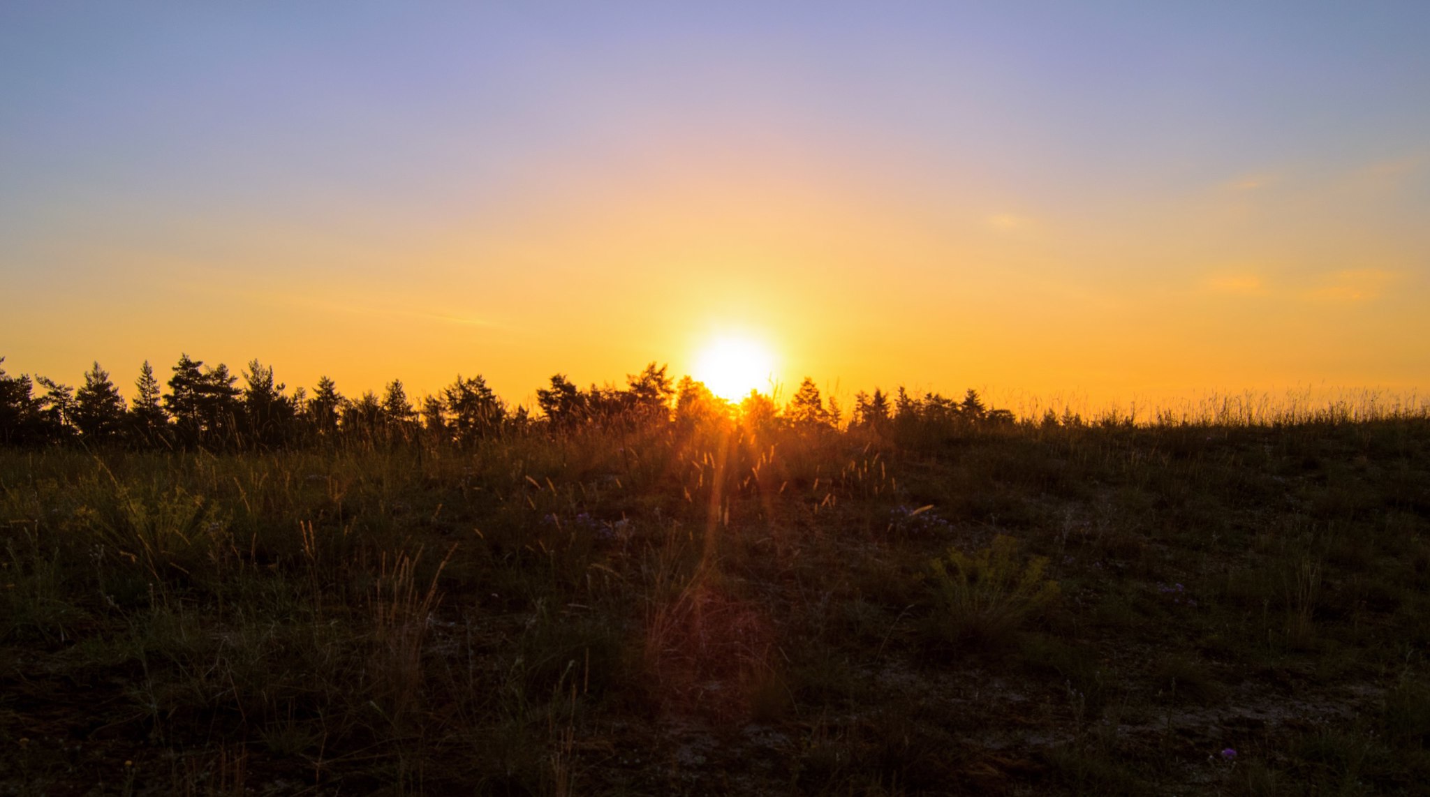 Nature of the Volgograd region - My, Volgograd region, Nature, Animals, Longpost