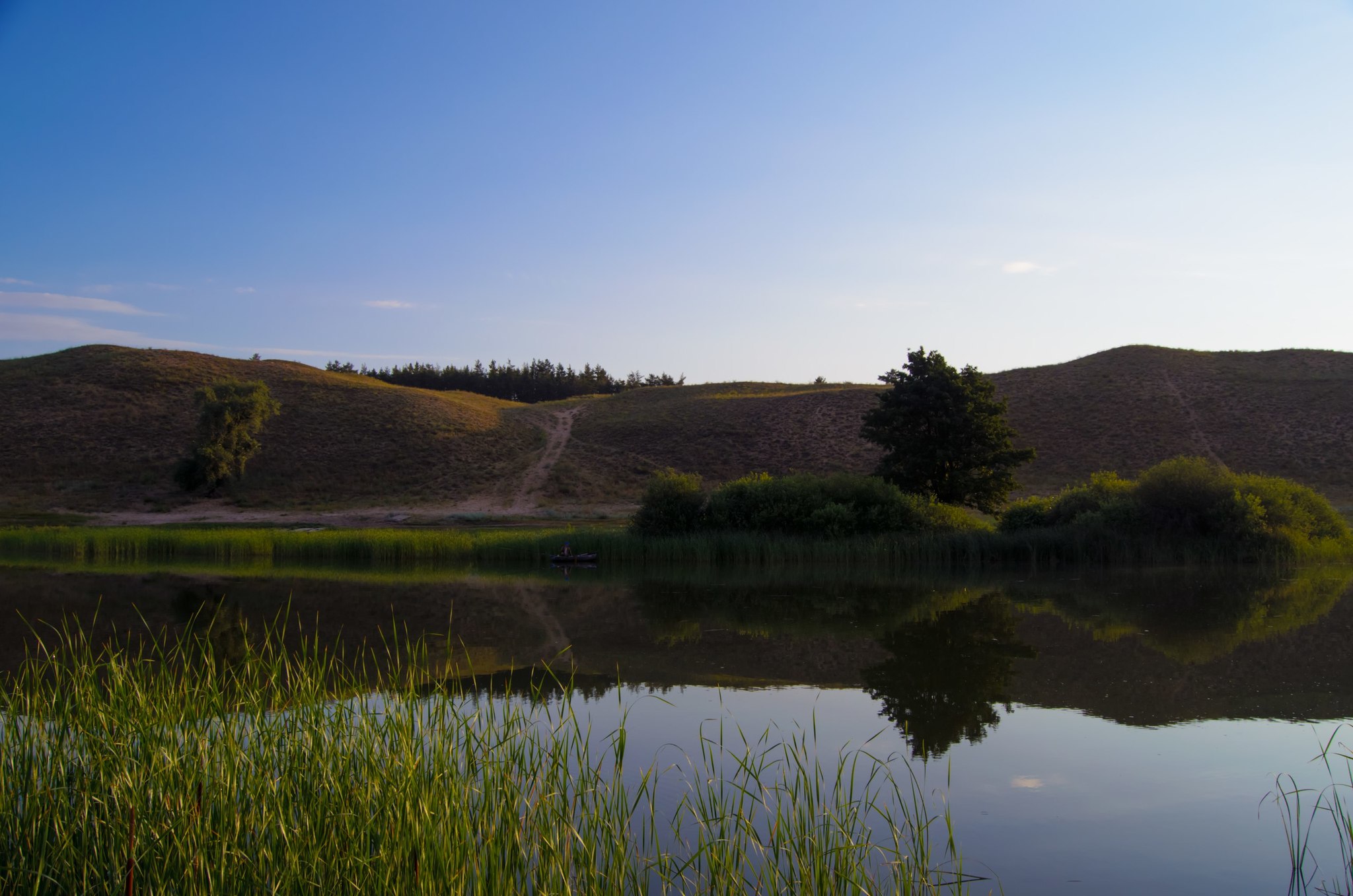 Nature of the Volgograd region - My, Volgograd region, Nature, Animals, Longpost