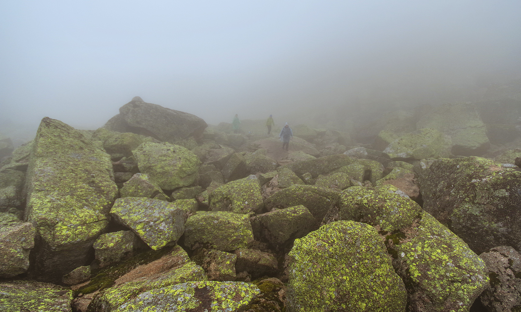 So I touched the clouds with my hands - Ergaki, Travels, Landscape, The photo, Fog, Holidays in Russia, Camping, Wild tourism, Longpost