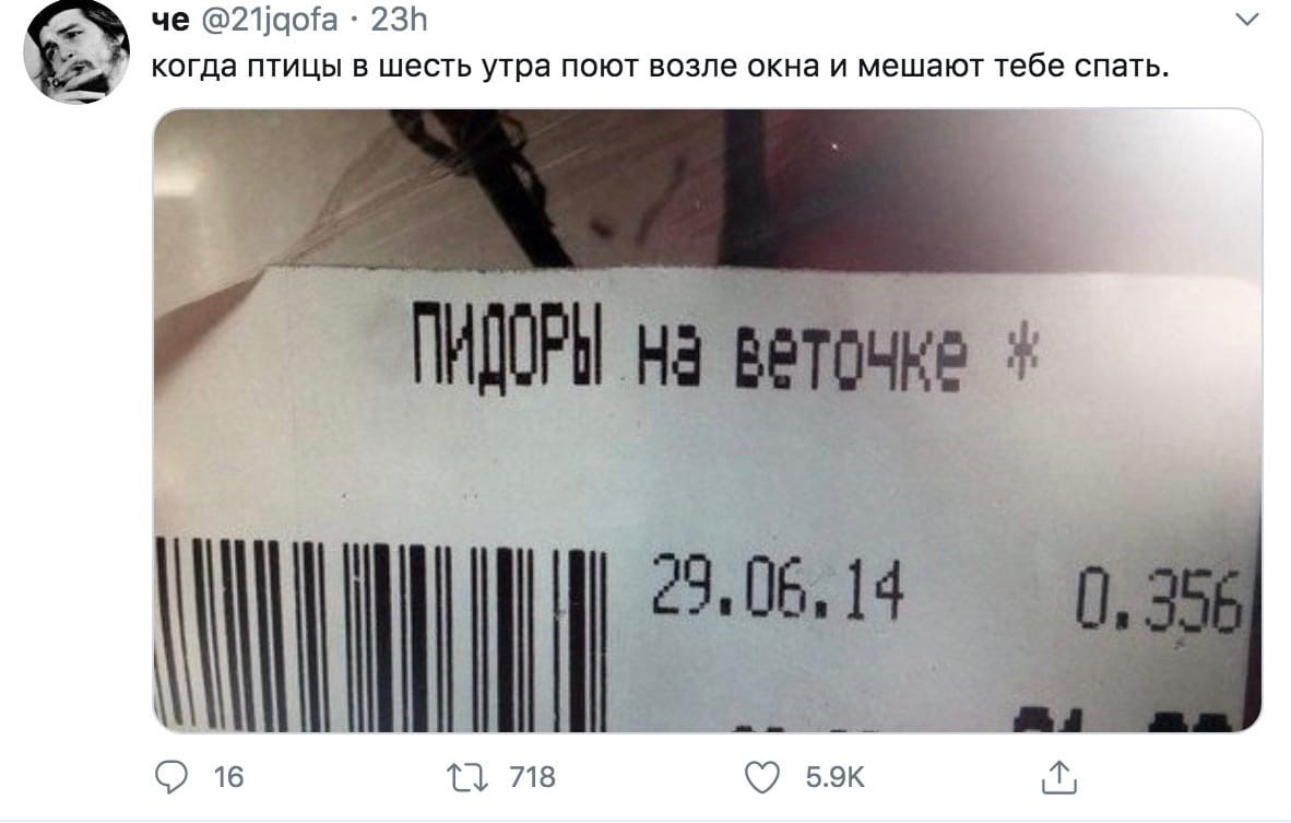 Взвесьте 0 грамм, пожалуйста - Twitter, Птицы, Мат