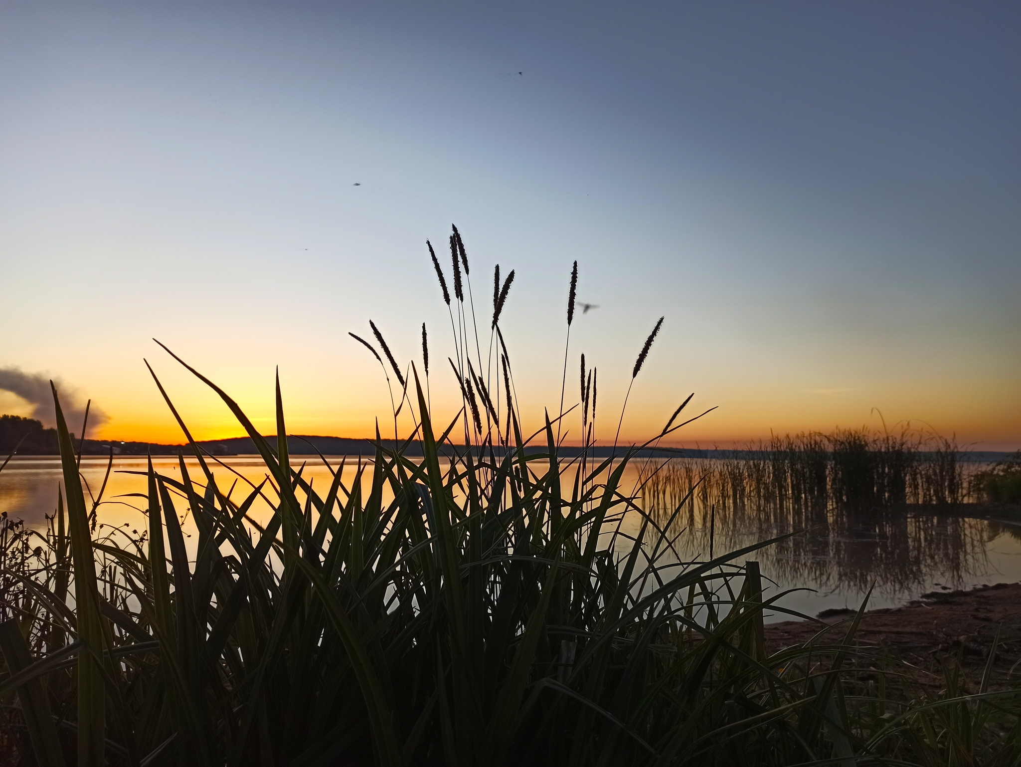 Just a little beauty for your feed - My, Camping, Beautiful view, Reftinskiy, dawn, Longpost