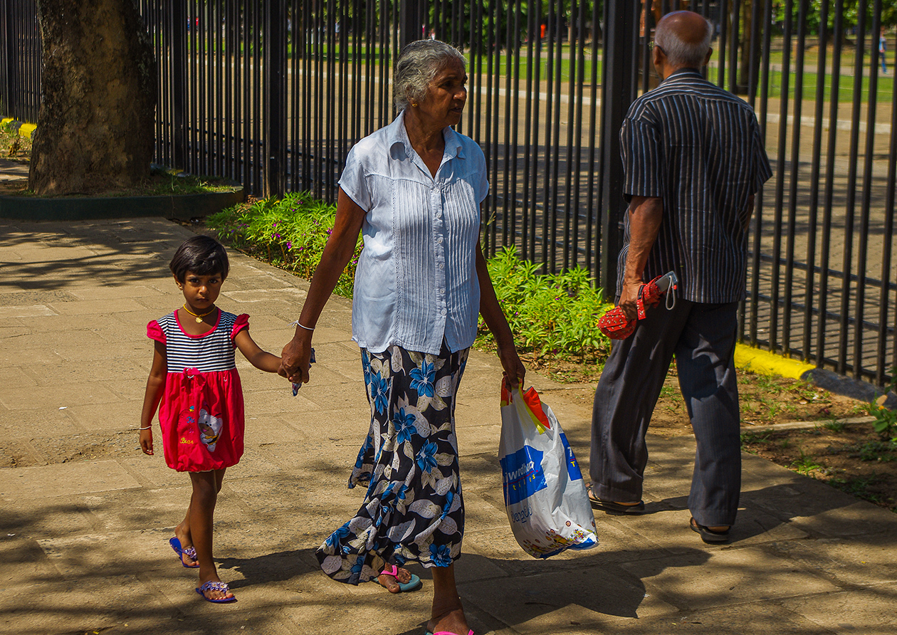 Sri Lanka - My, Sri Lanka, Travels, People, The photo, Wild tourism, Longpost