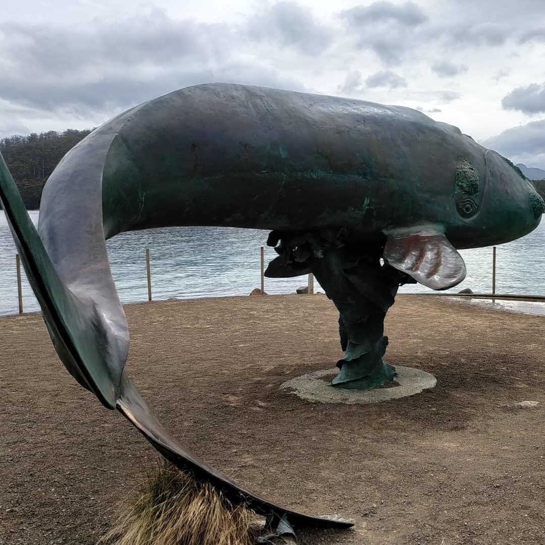 Whales smile too - My, Australia, Tasmania, Whale, Humor, Longpost