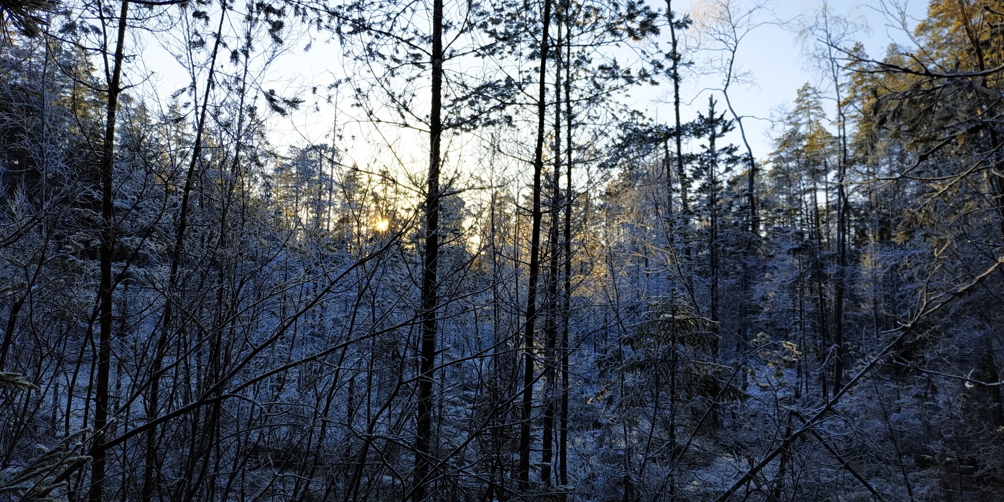 Lindulovskaya Grove this winter - My, Lindulovskaya grove, Karelian Isthmus, Longpost