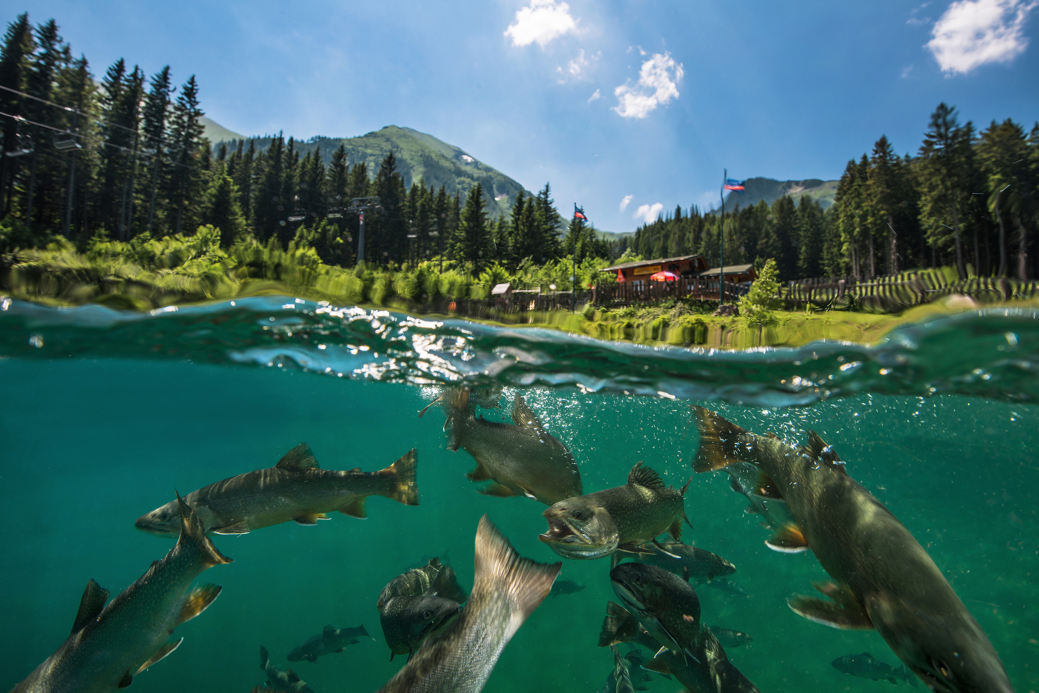 Парк зелёное озеро, Австрия зимой
