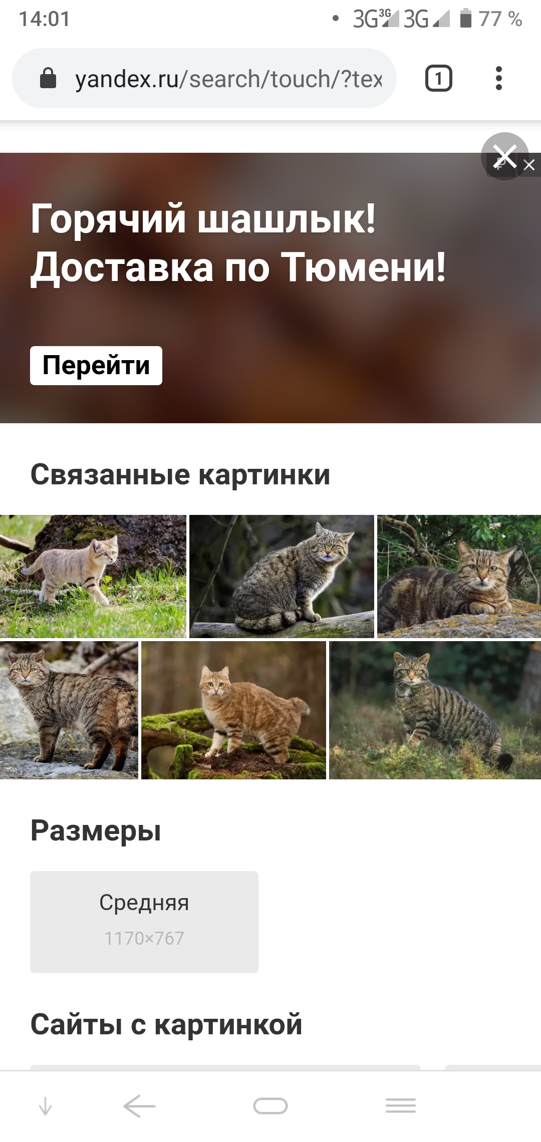 Shish kebab in Tyumen style - Advertising, Screenshot, cat