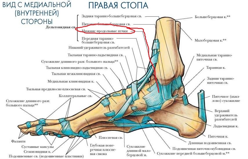 Как я пробежал марафон 42.2 км и подготовка к нему - Моё, Спорт, Бег, Марафон, Марафонский бег, Мотивация, Победа, Длиннопост