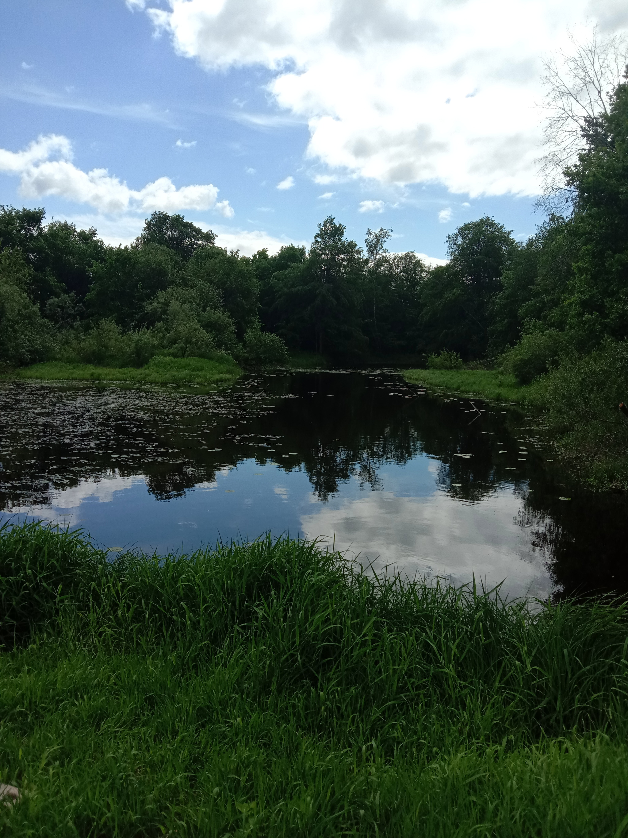 By the river - My, The photo, River, Longpost, Nature