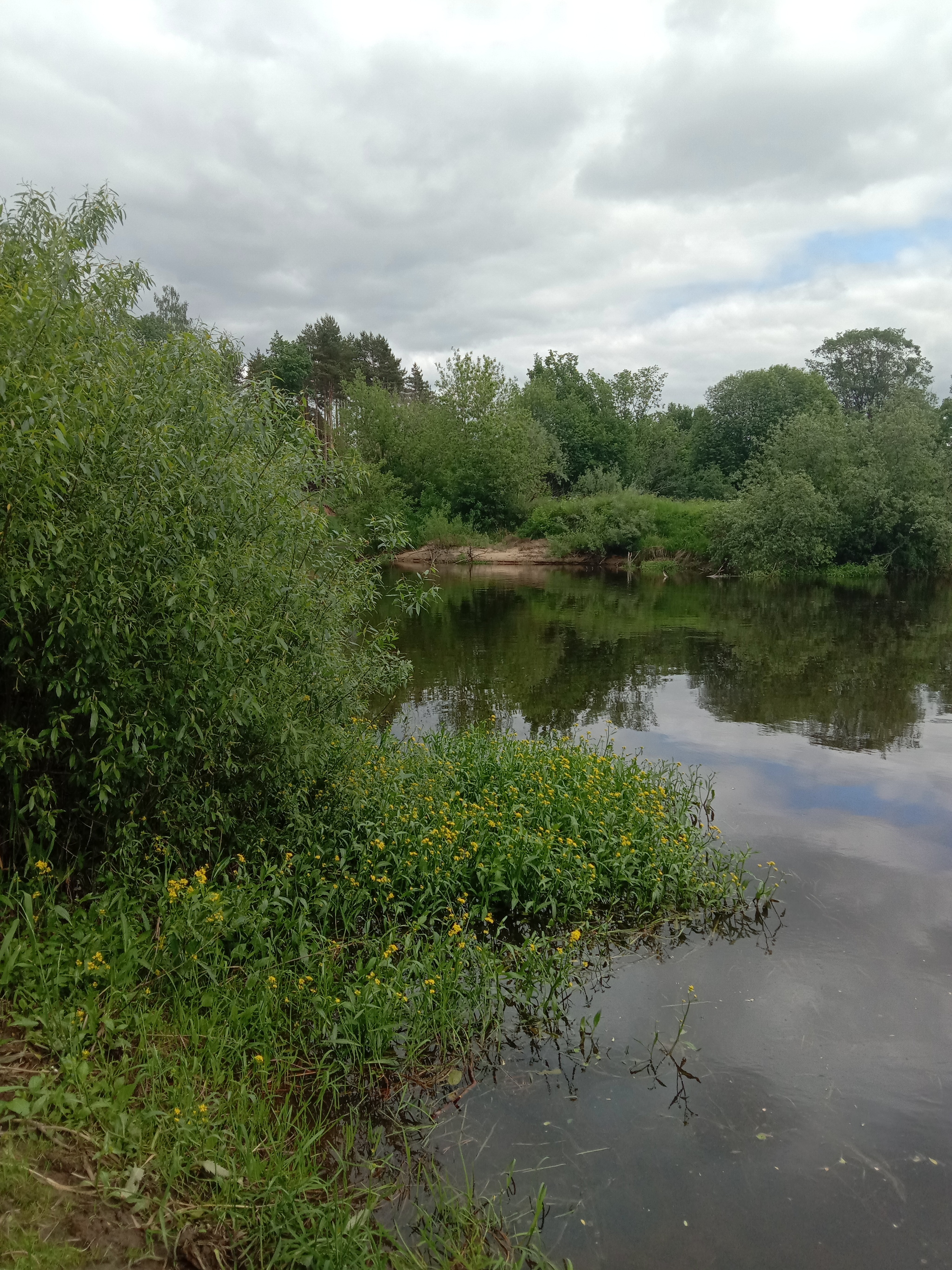 By the river - My, The photo, River, Longpost, Nature