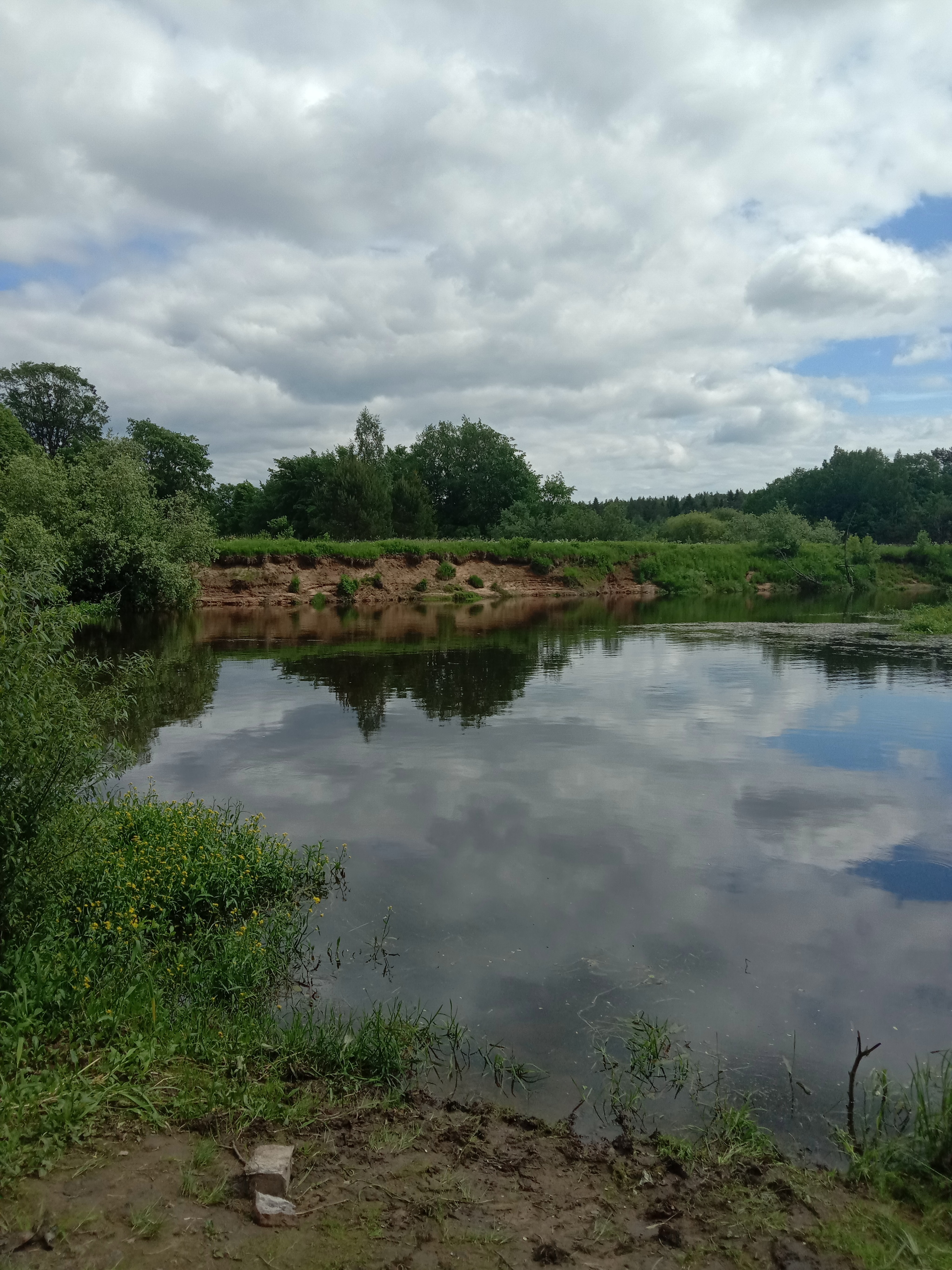 By the river - My, The photo, River, Longpost, Nature