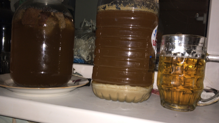 Kvass, ale, lager - My, Kvass, Ale, Lager