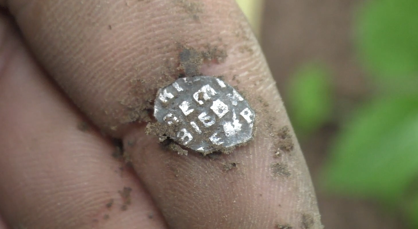 The forest ravine turned out to be full of money! Searching for gold with a metal detector - My, Search, Metal detector, Treasure hunt, Hobby, Nature, Travels, Coin, Numismatics, Video, Longpost