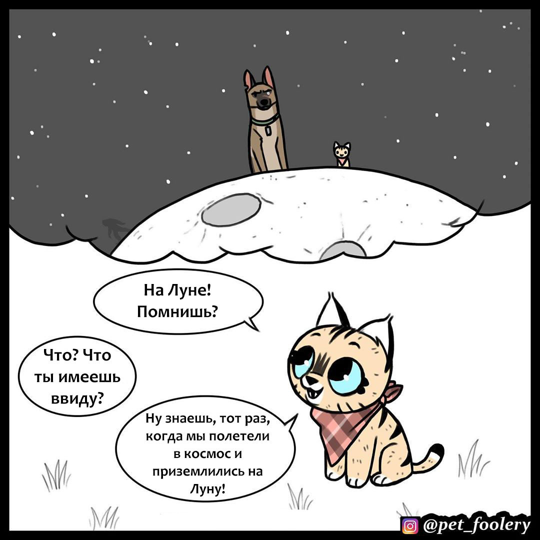 On the moon - Pet foolery, Comics, Brutus and Pixie, Longpost