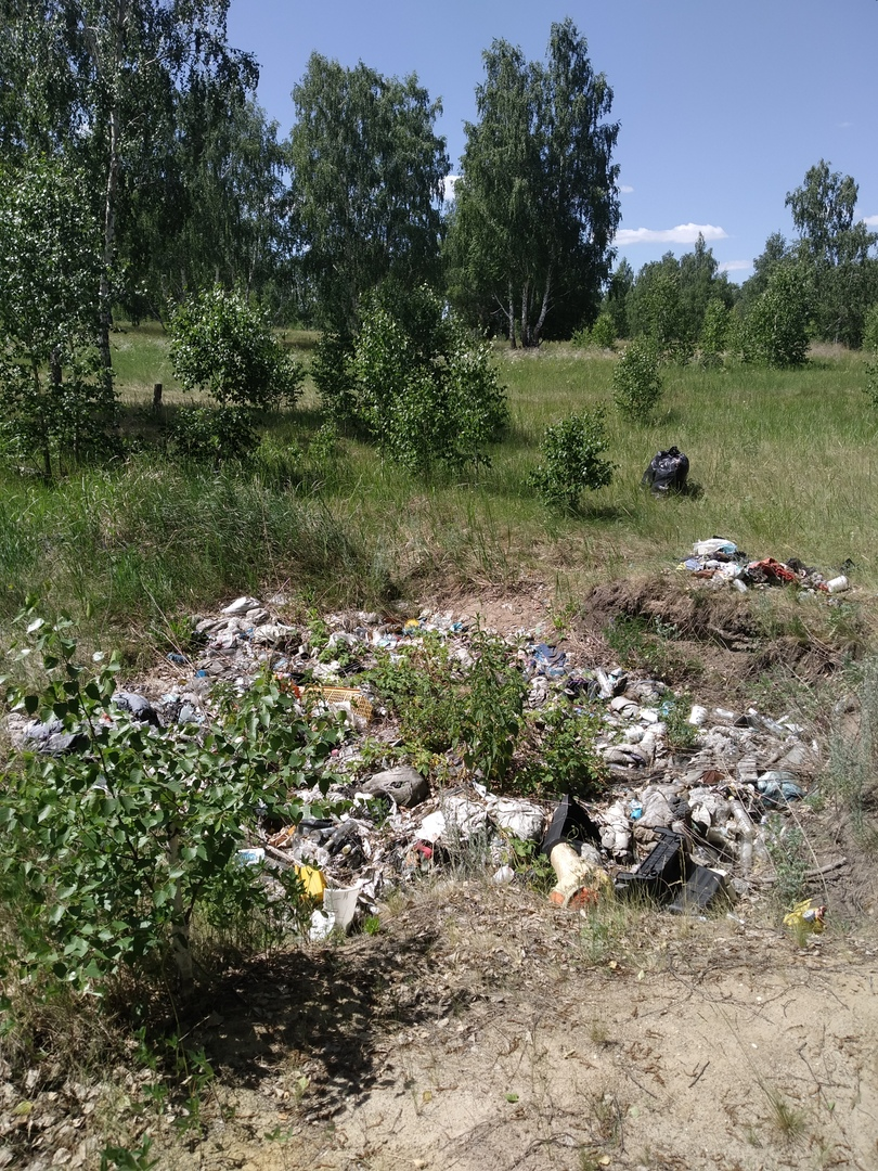 Left a little - My, Chistoman, Garbage, Cleaning, Forest, Longpost