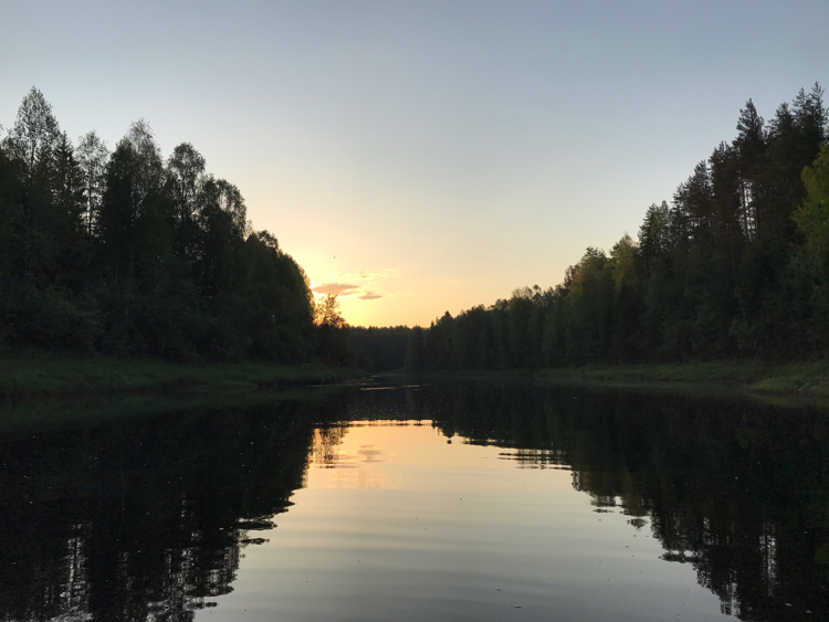 Вель, река - Моё, Вельский район, Природа, Рыбалка