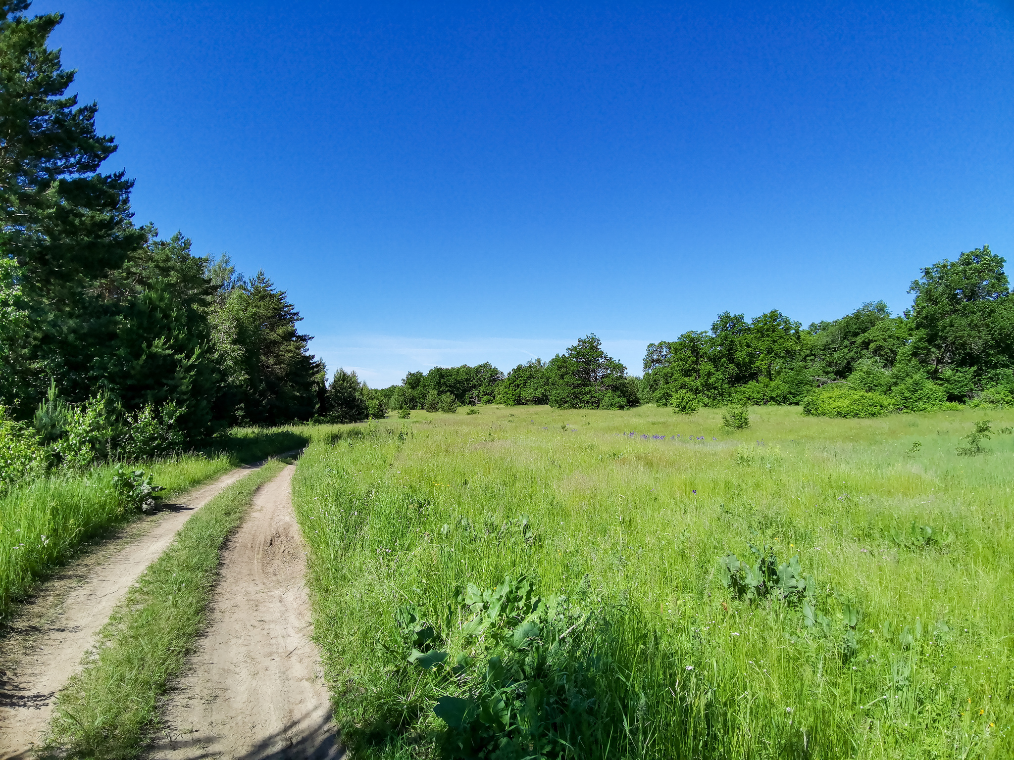 Landscape bike ride - My, Mobile photography, Huawei mate 20, Landscape, A bike, Longpost