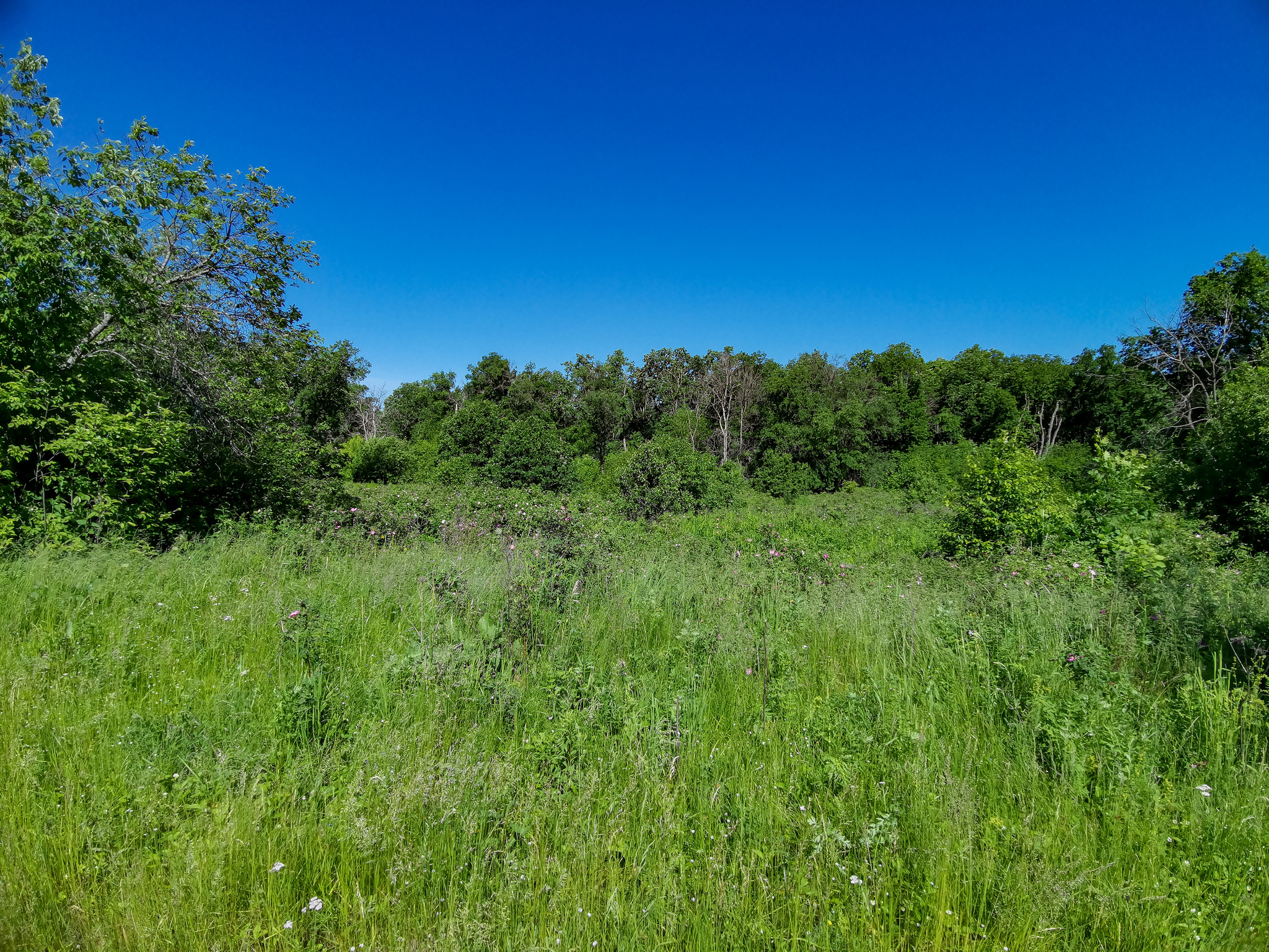 Landscape bike ride - My, Mobile photography, Huawei mate 20, Landscape, A bike, Longpost