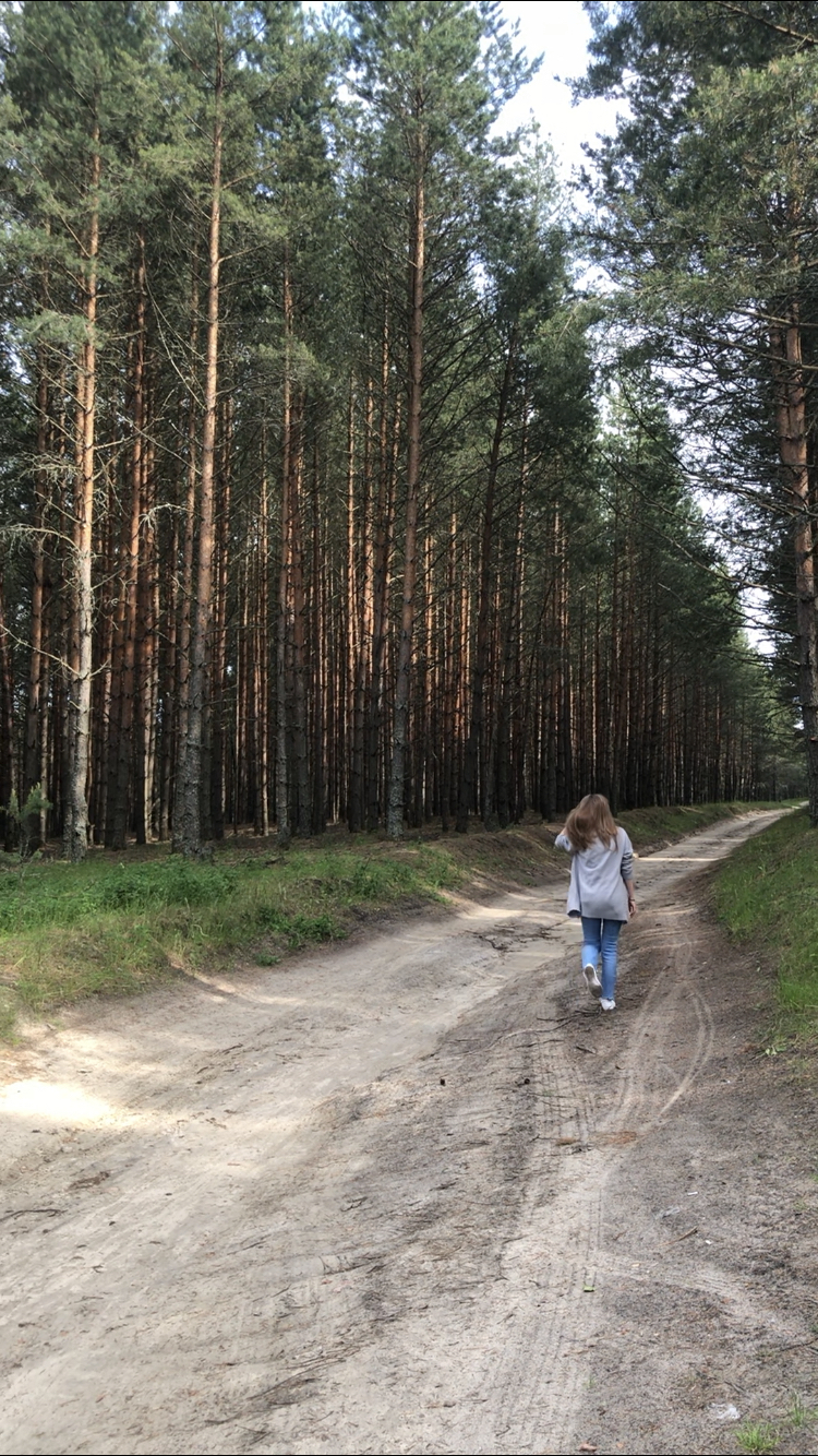 Weekend rides.... or.... Through thorns to the stars - My, Moscow region, Tourism, Nature, Pokatushki, Pinery, Relaxation, Video, Longpost