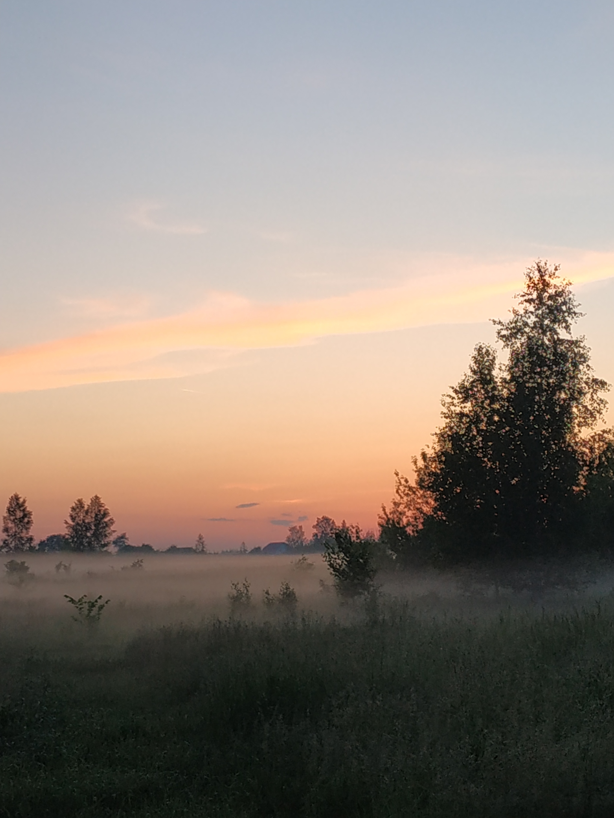 We're good too - My, Village, Nature, Sky, Summer, Longpost