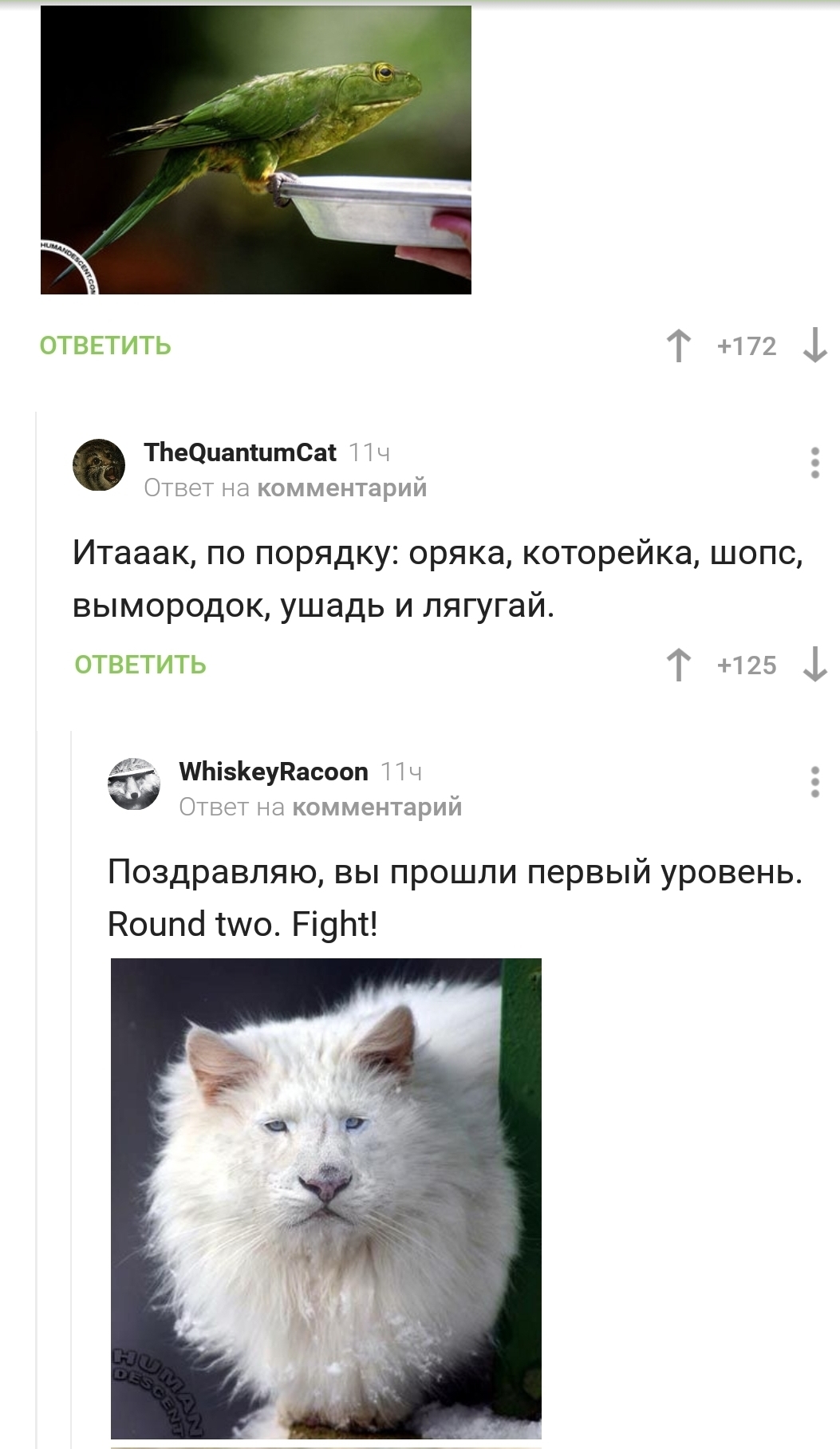 Fight - Comments on Peekaboo, Longpost, Quiz, Screenshot