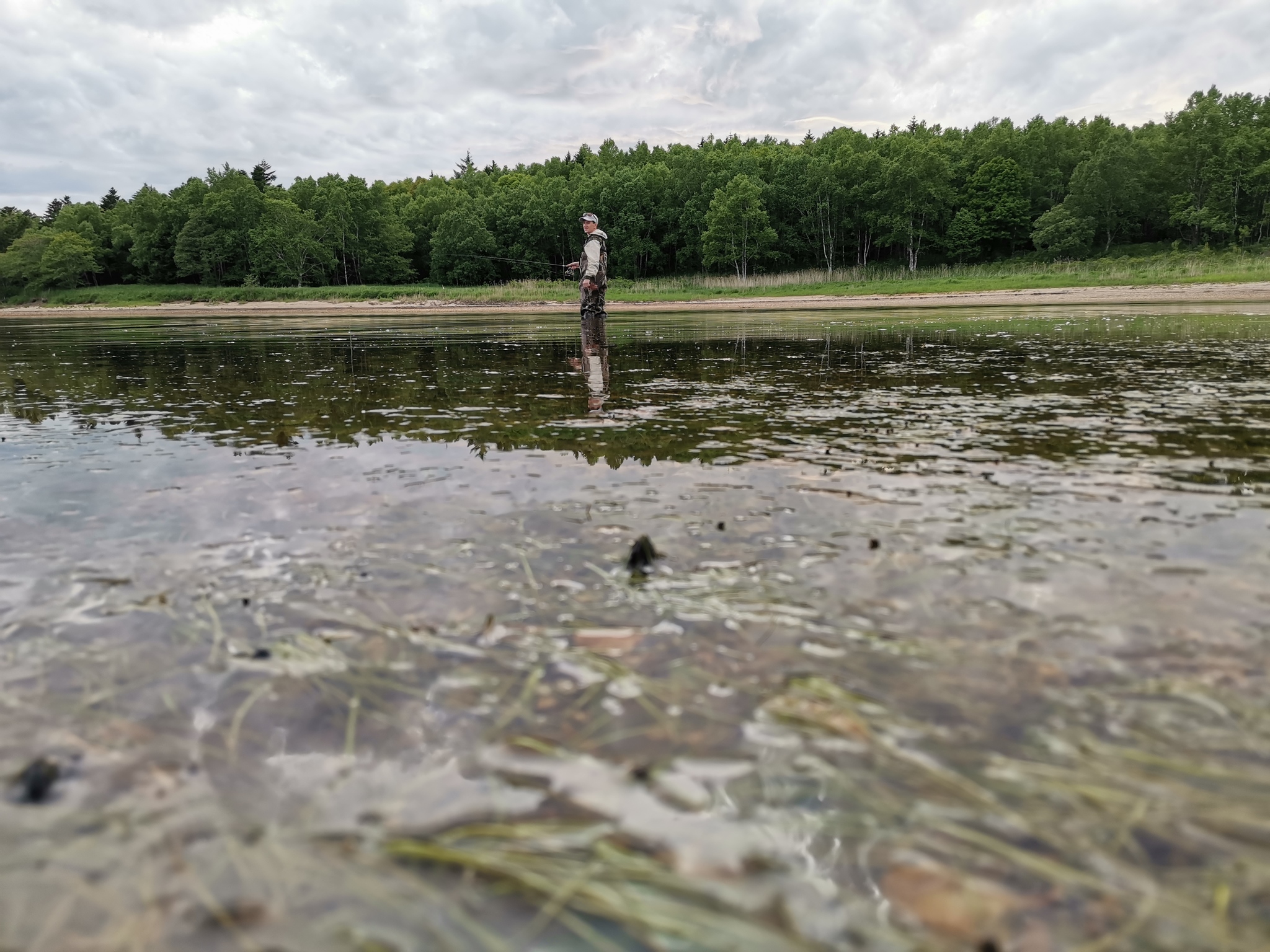 Huge taimen for light spinning, kunj, bulls and smallmouth in one place - My, Taimen, Sakhalin, Yuzhno-Sakhalinsk, Fishing, Sima, Pink salmon, Siberian salmon, Loach, Video, Longpost