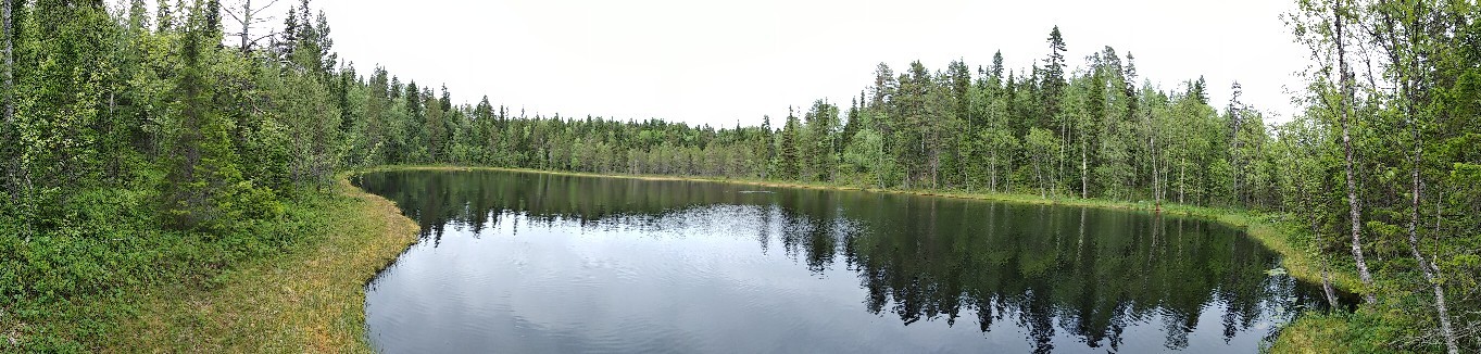 Solovetsky archipelago.July - My, Solovki, Relaxation, Hike, Longpost