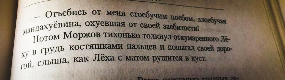 Бывает и такое настроение - Настроение, Ругательства, Русский язык, Мат