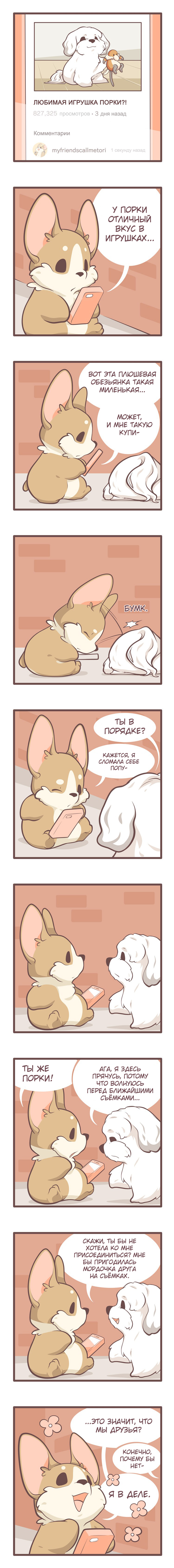 Tori's new friend - Comics, Animals, Dog, cat, Bobblejot, Translation, Translated by myself, Longpost