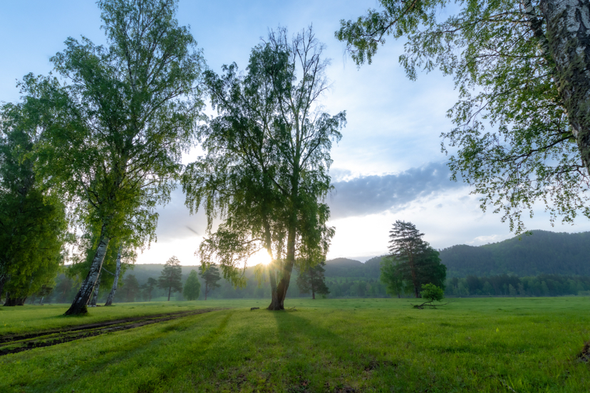 Morning in the Burzyansky district. The valley of the Belaya River near the village of Irgizly. 2020 - My, Bashkortostan, White, Morning, The photo