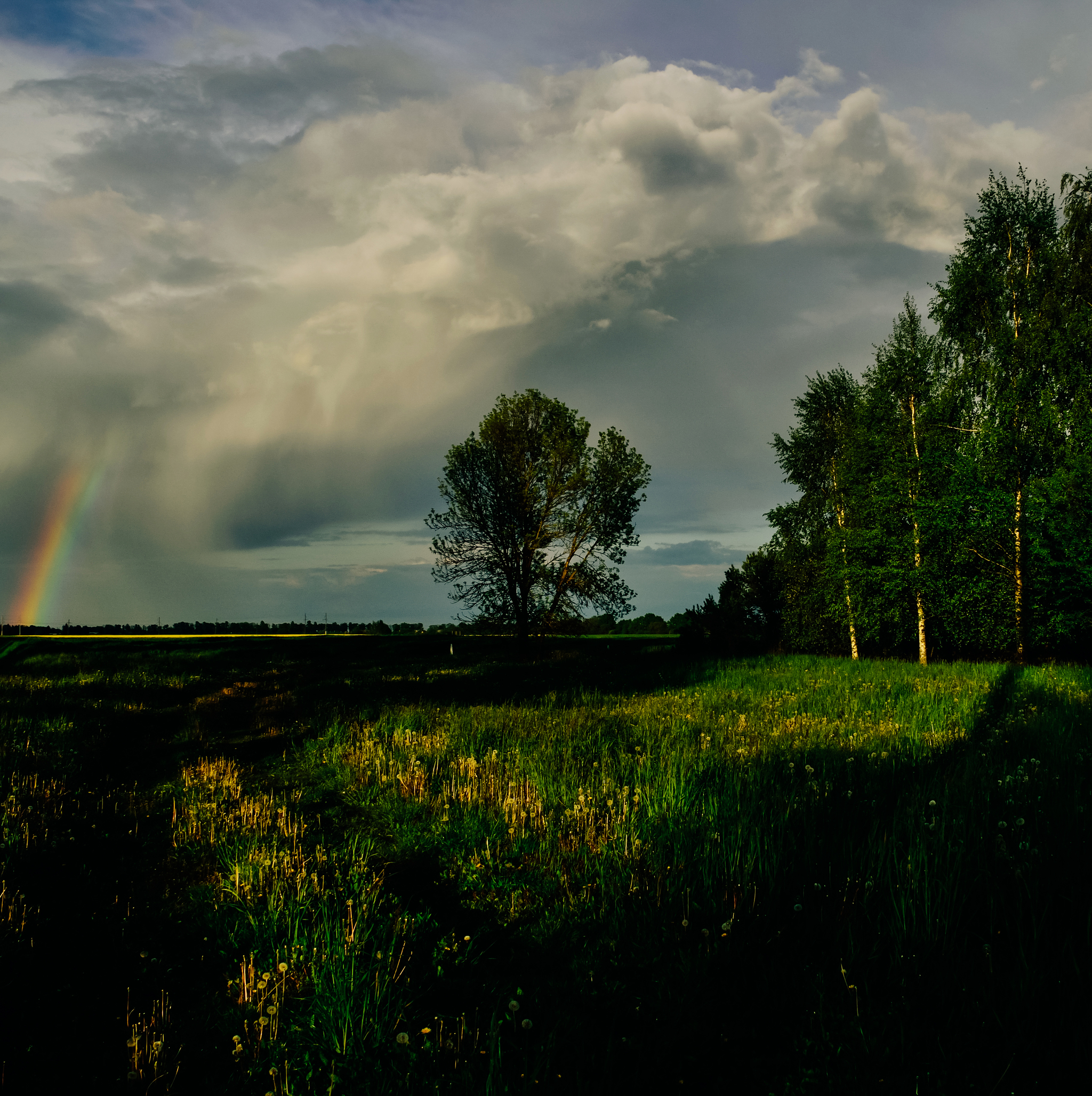 Summer landscape - My, The photo, Photographer, Landscape, Nikon