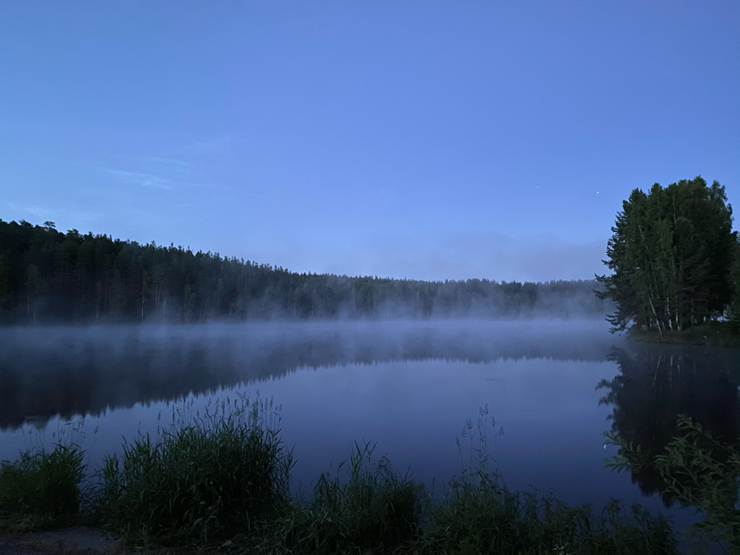 Утро - Моё, Утро, Фотография