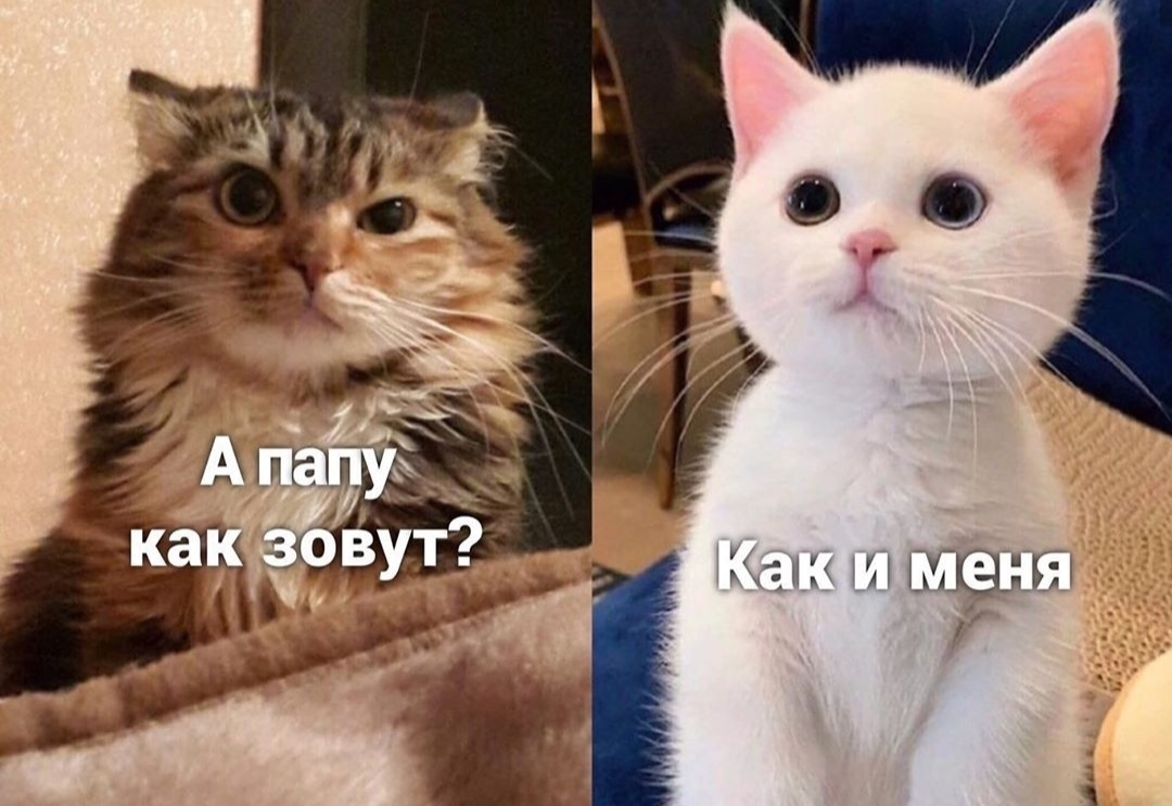 Многоходовочка | Пикабу