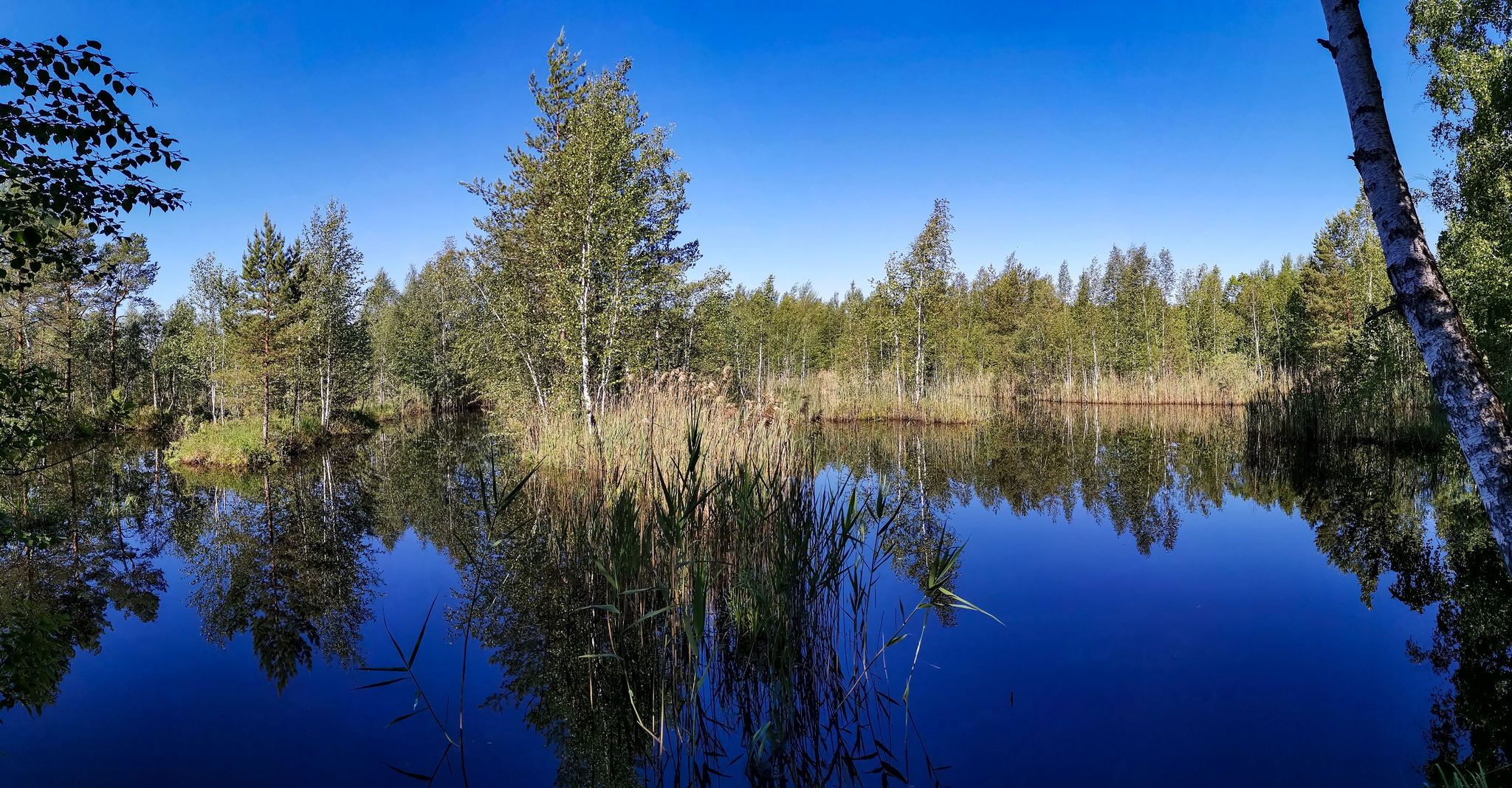 Велосипедно-летнее - Моё, Фотография, Велосипед, Природа, Лето, Озеро, Длиннопост