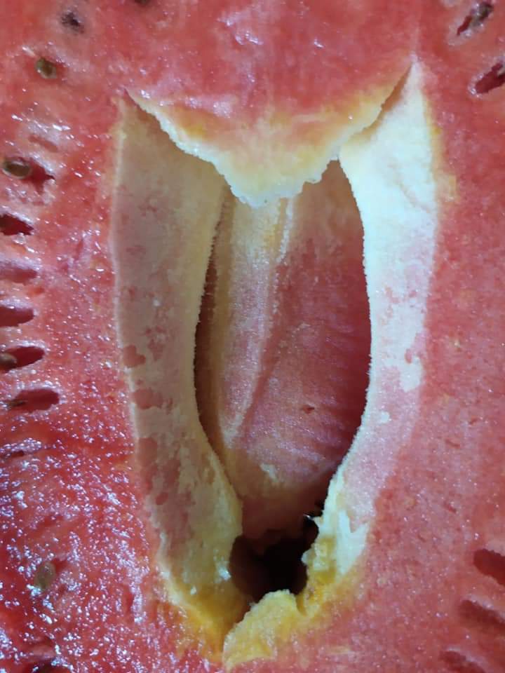 3.14 fattened watermelon - My, Watermelon, The photo, Longpost